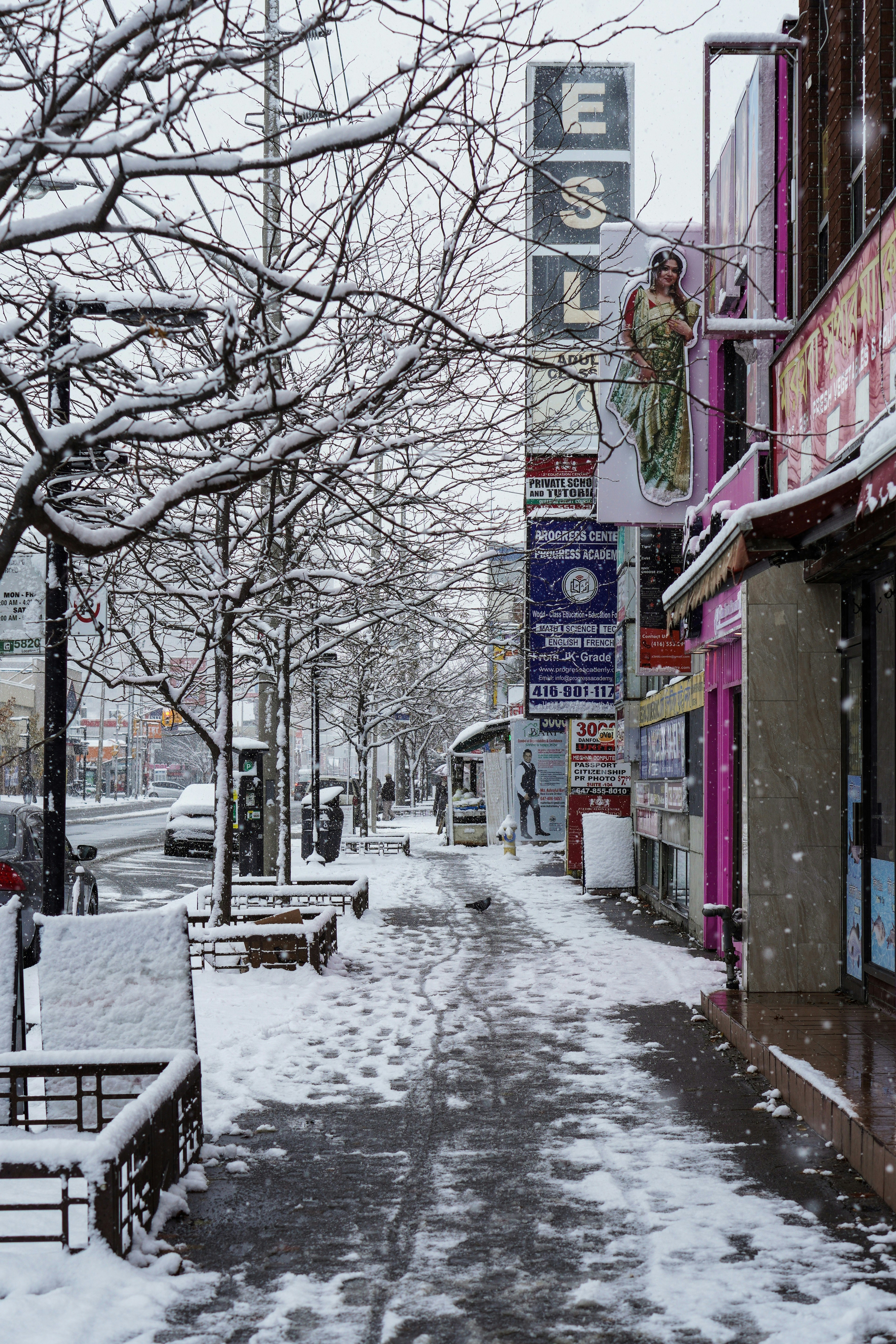 Photo by the_ahnafpiash