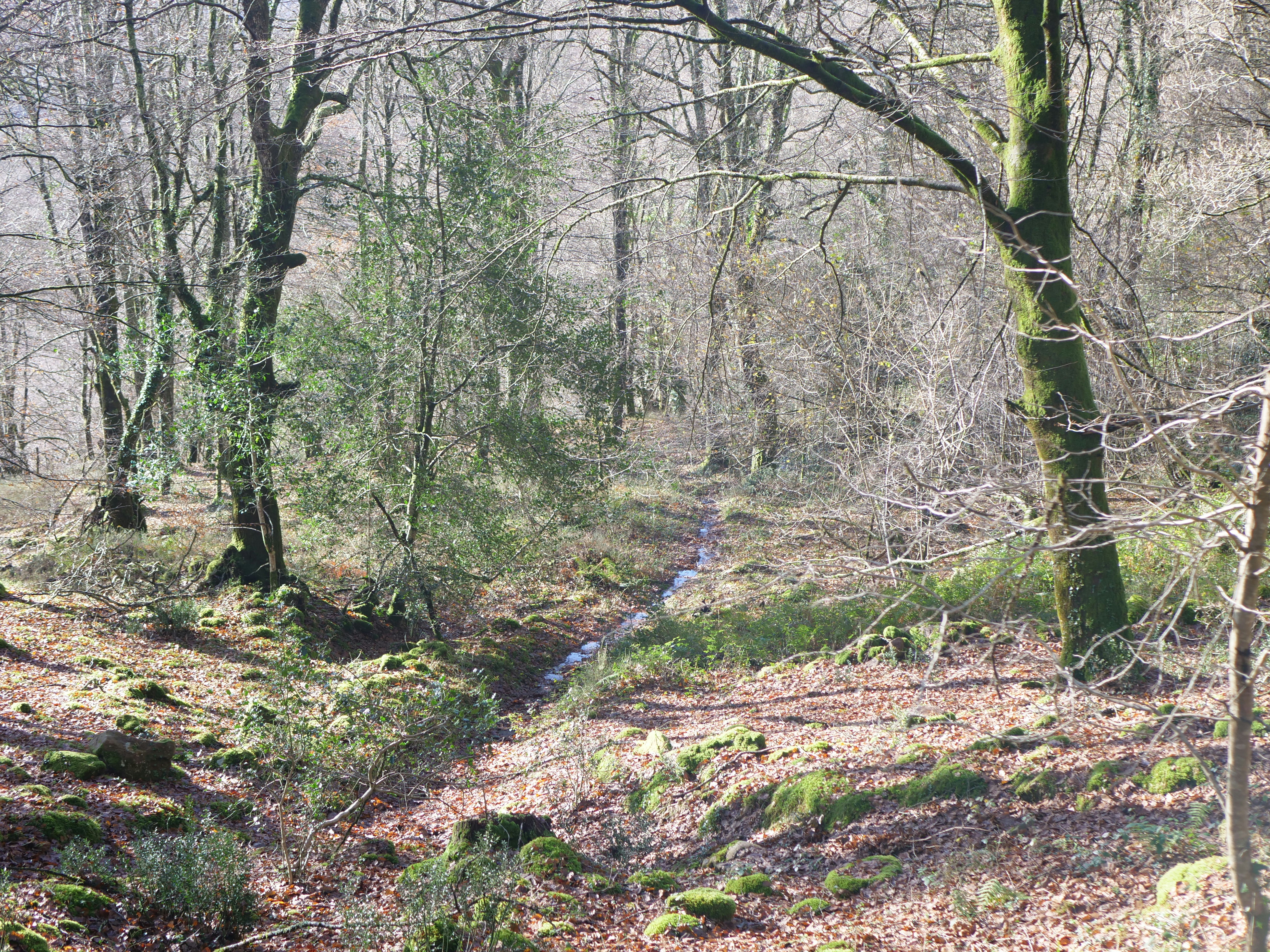 Photo by lucasrevilla