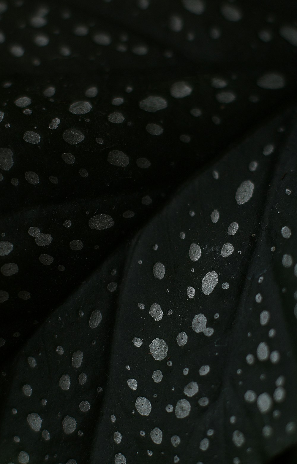 a close up of a black cloth with white dots
