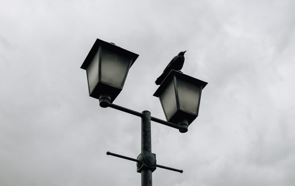 a couple of street lights sitting on top of a metal pole