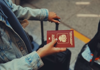 a person holding a red passport in their hand