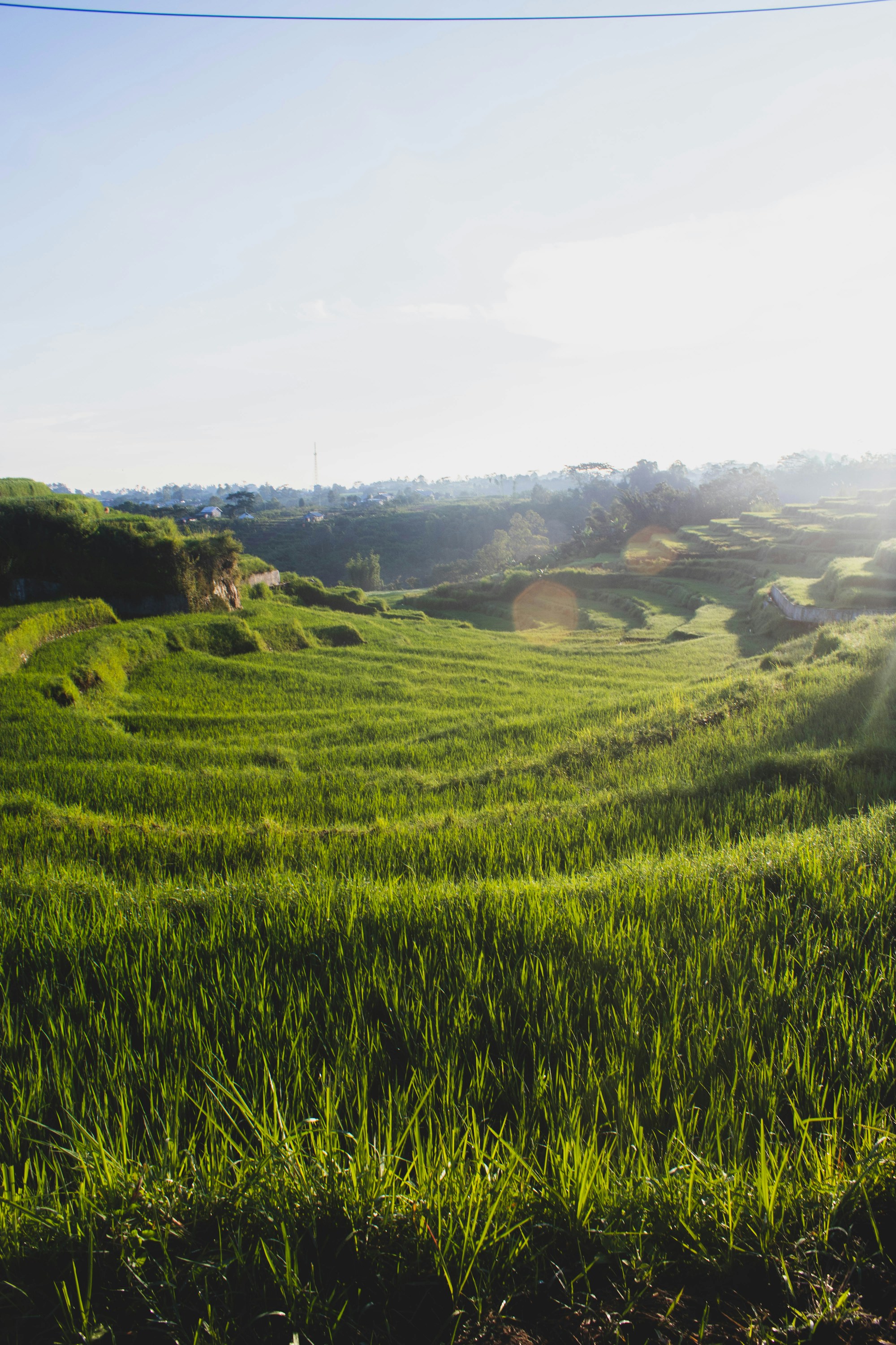 Ruteng Travel Guide: Discover Local Wonders