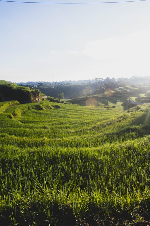 What to see in Ruteng: A Travel Guide