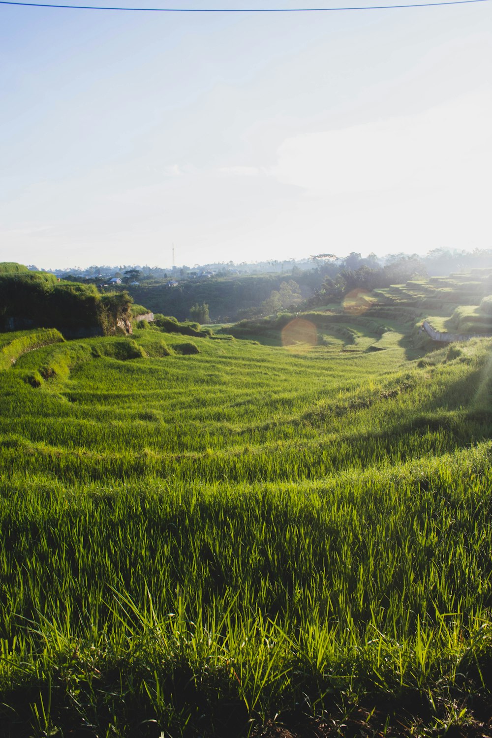 a lush green field with a house in the distance