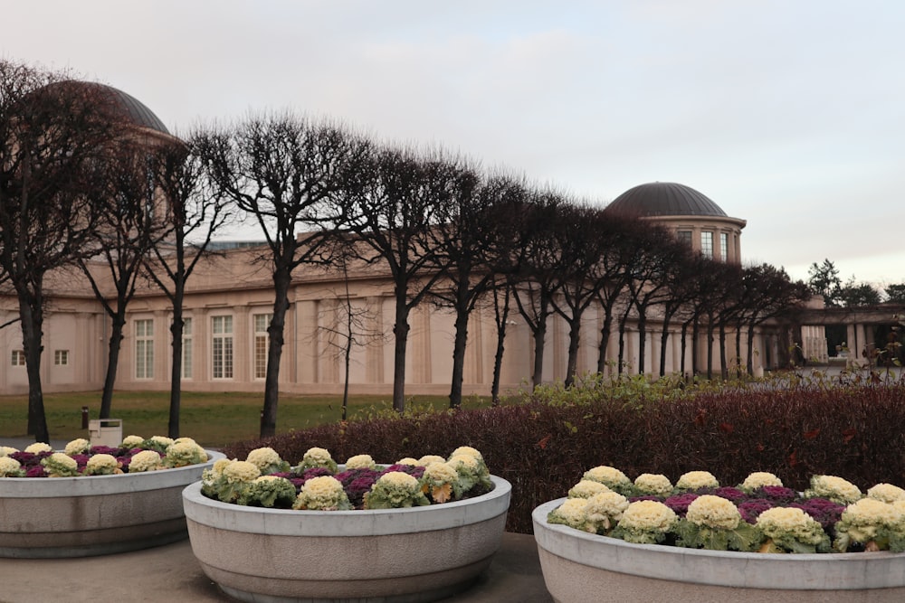 Trois grandes jardinières avec des fleurs devant un bâtiment