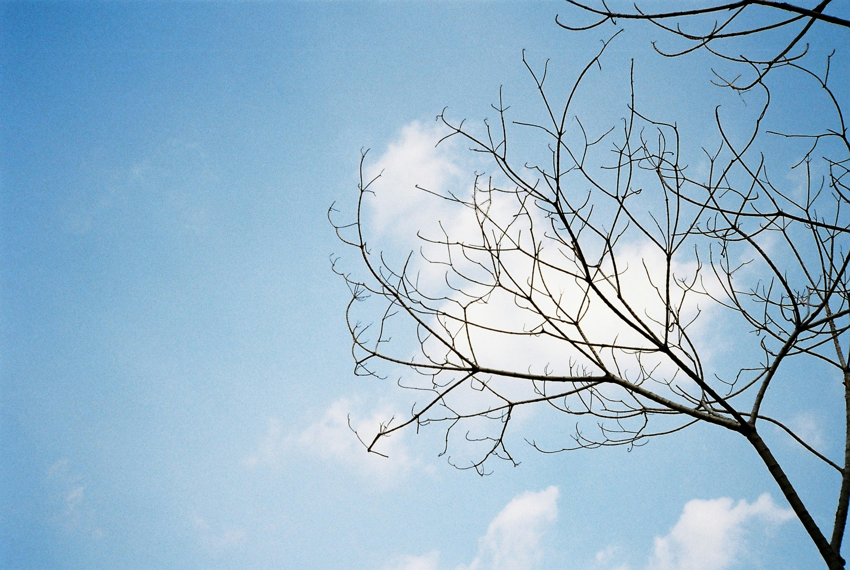 Photo by mycabbageisgone