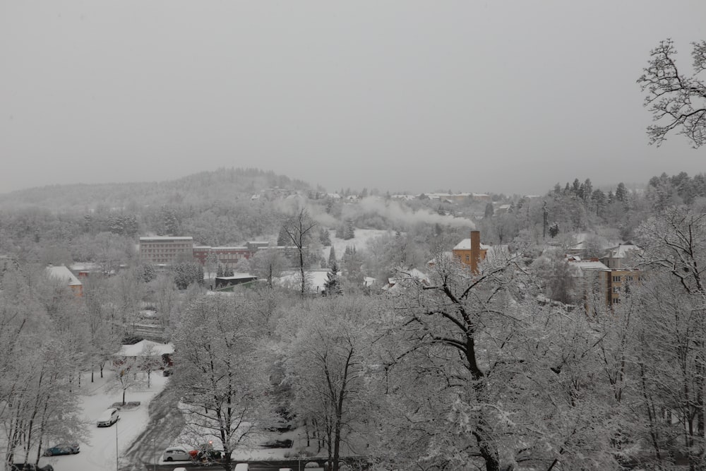 a snowy view of a town with a mountain in the background