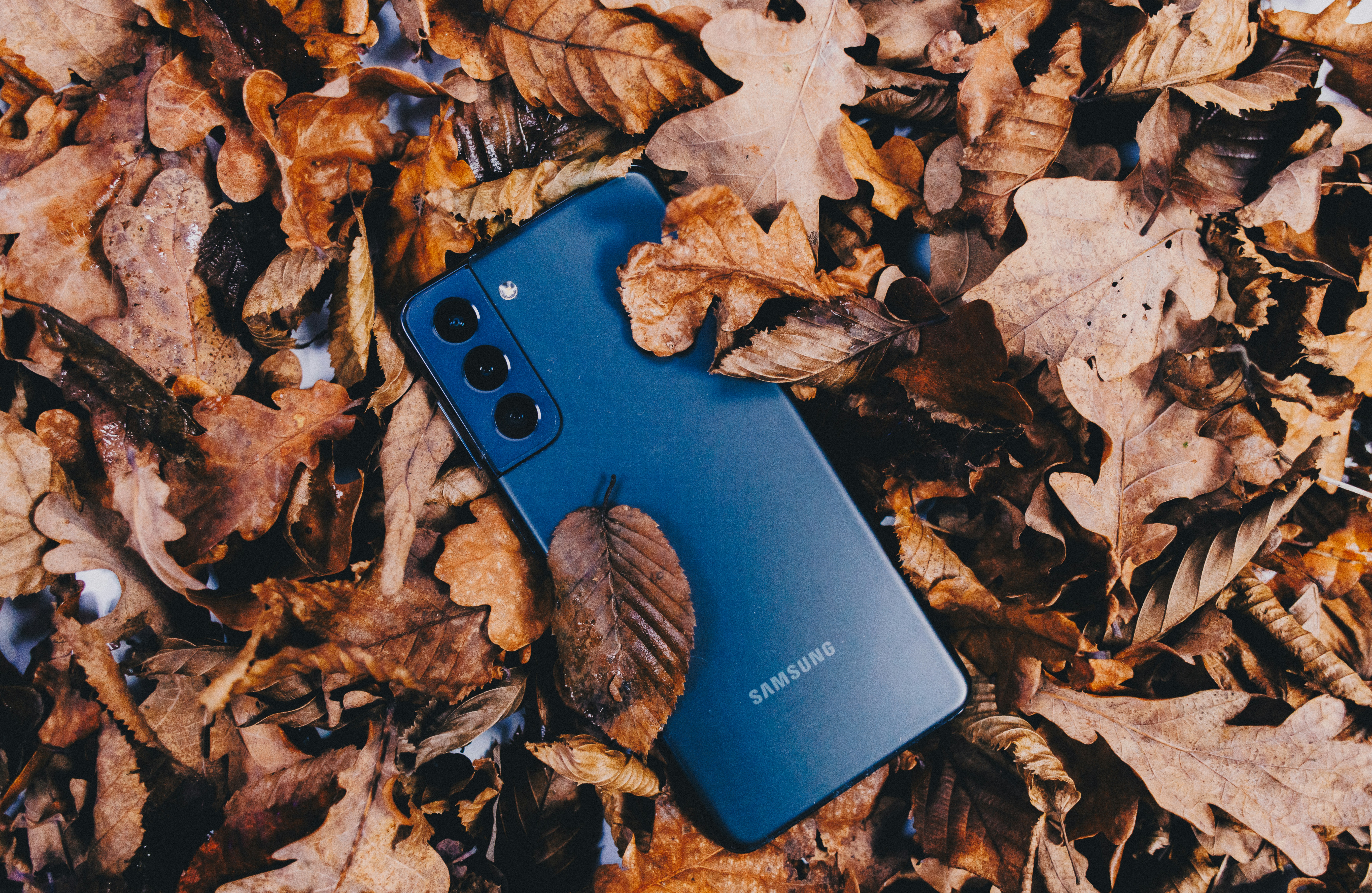 葉の山の上に横たわるサムスンの電話