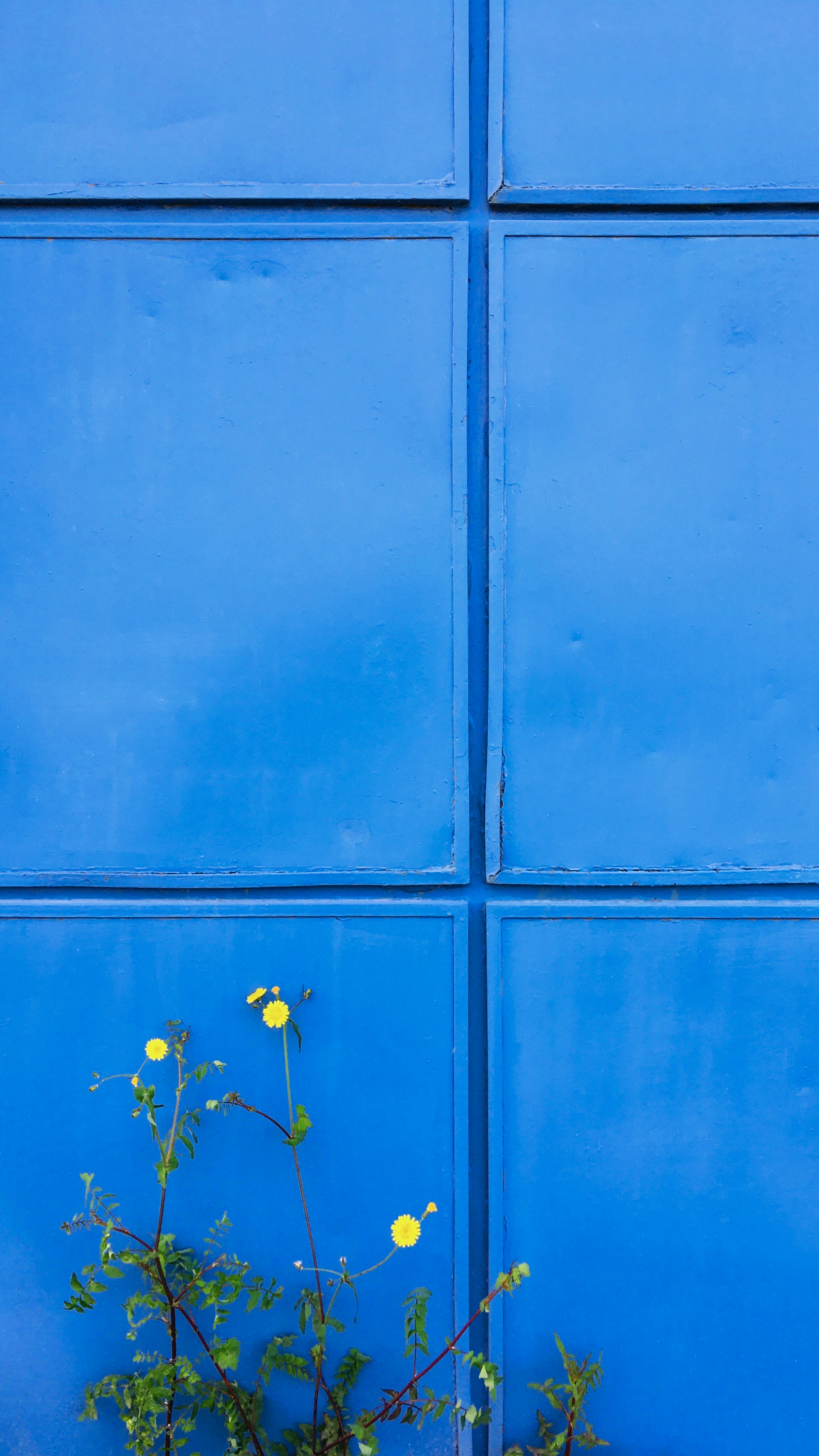 Photo by davidpisnoy