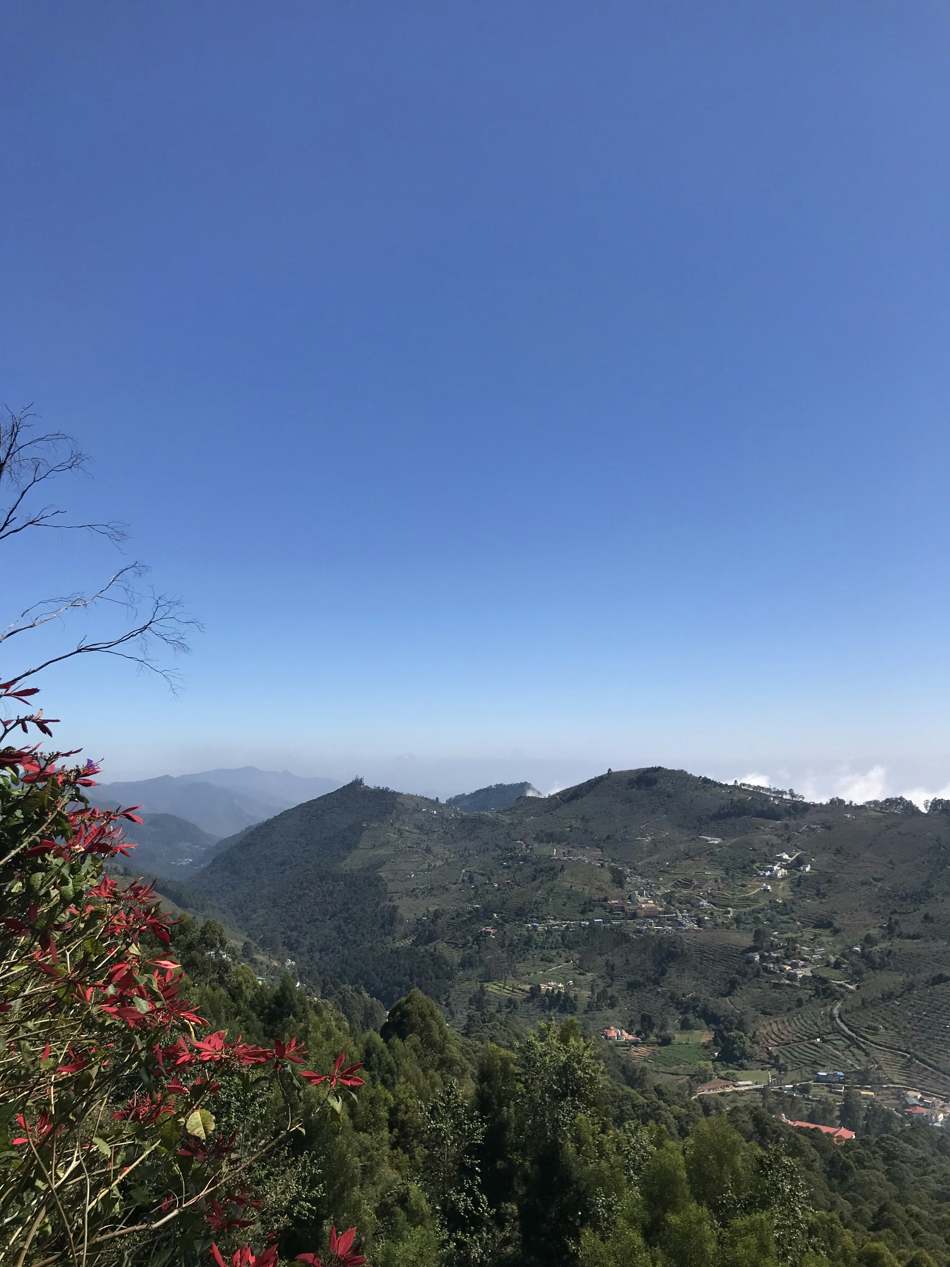 Photo by latteetespresso