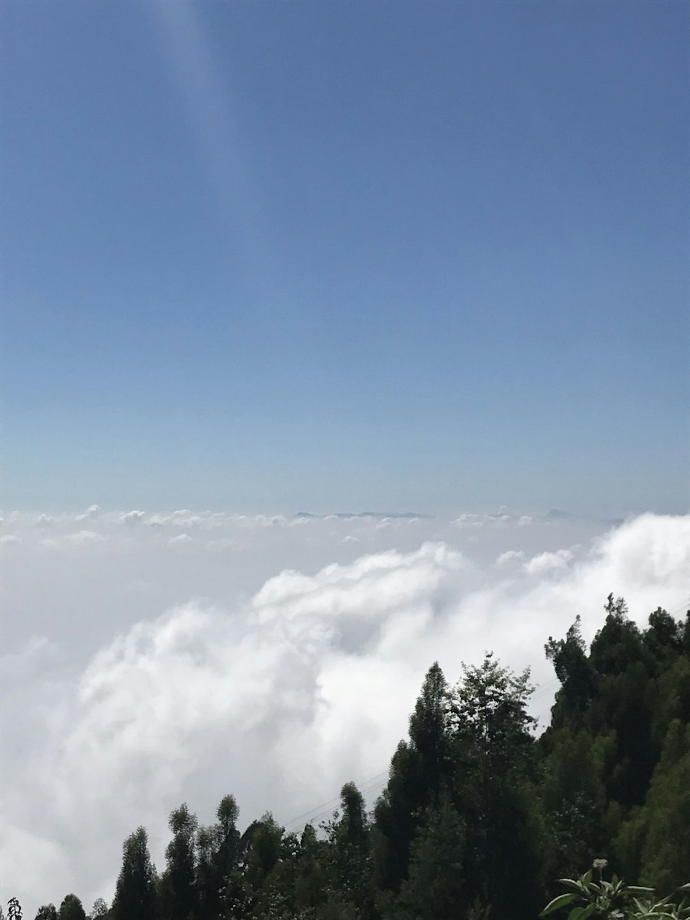 a view of some trees and clouds in the sky