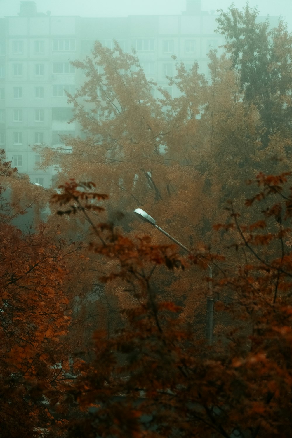 a view of a building through the trees in the rain