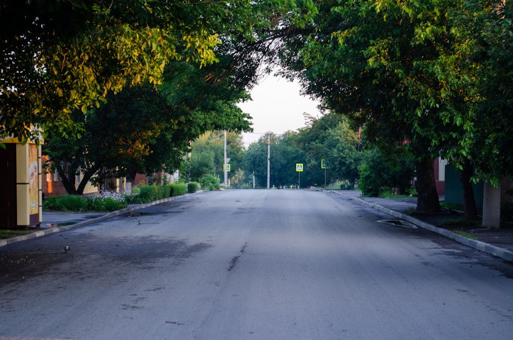 an empty street with trees lining both sides