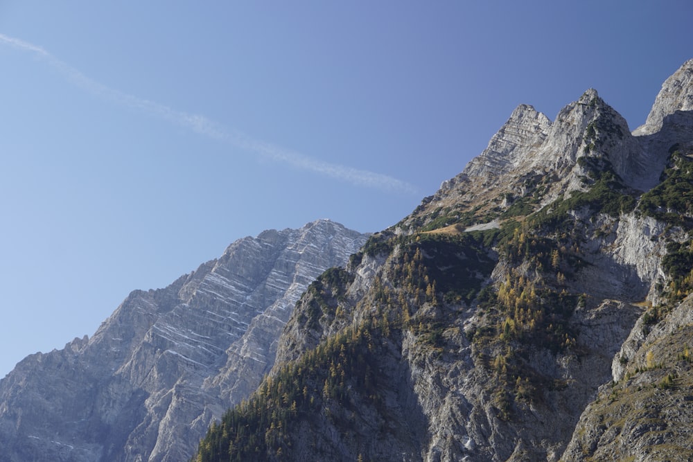 a very tall mountain with some trees on it