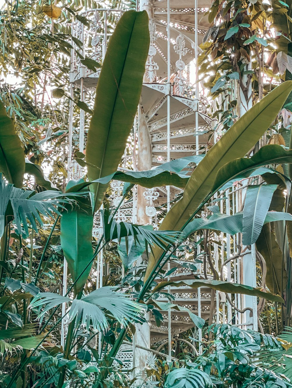 a very tall building with lots of plants in it