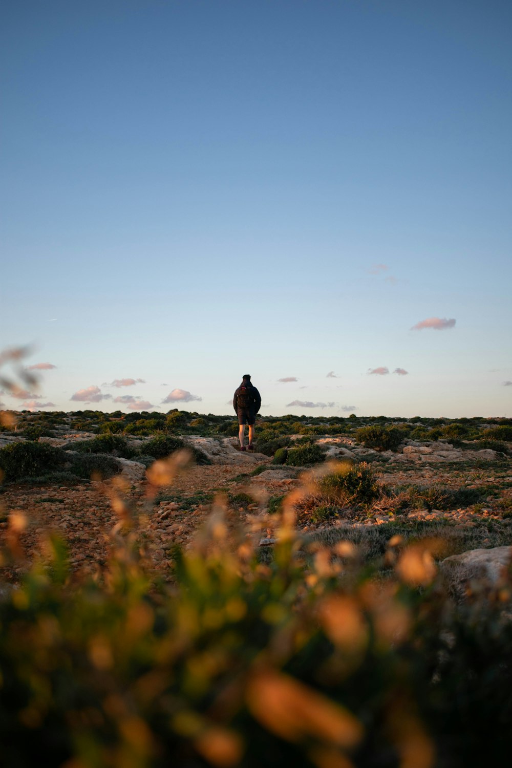 a person standing in a field with a blue sky in the background