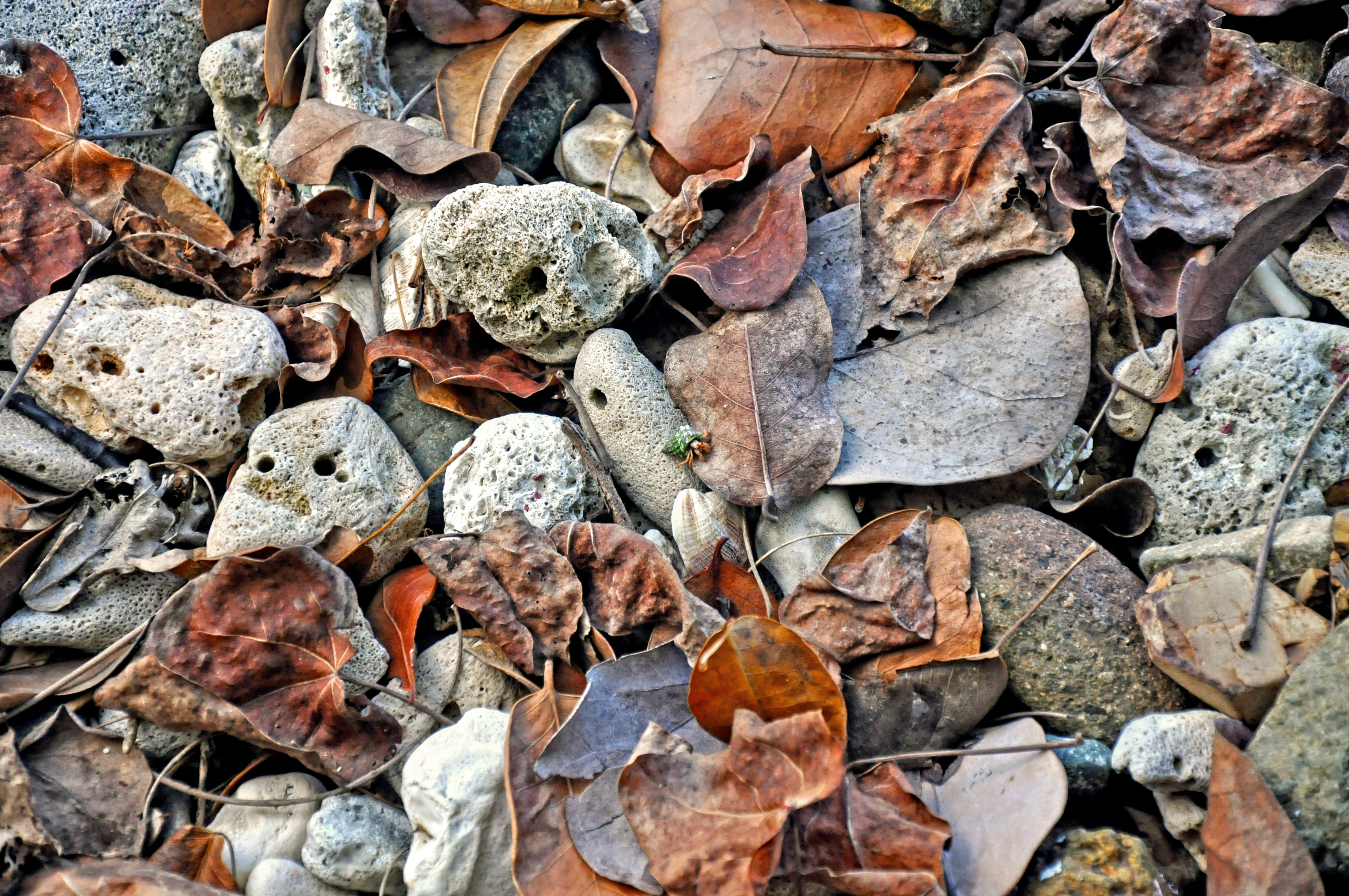 Photo by climatechangevi