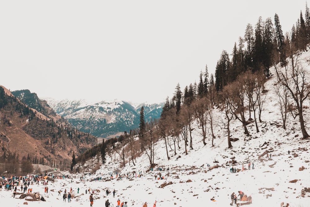 a group of people standing on top of a snow covered slope