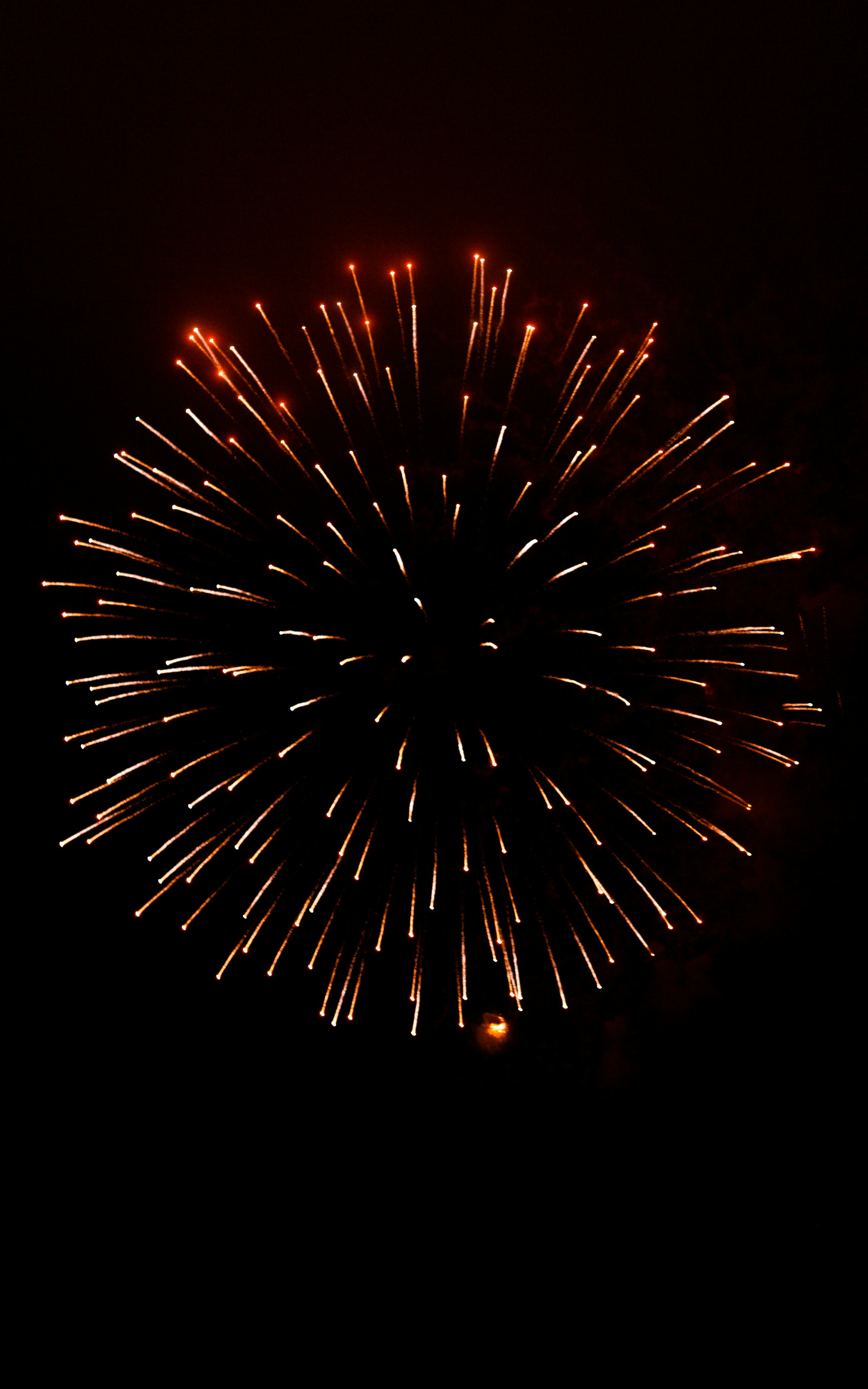 Photo by antohakraev