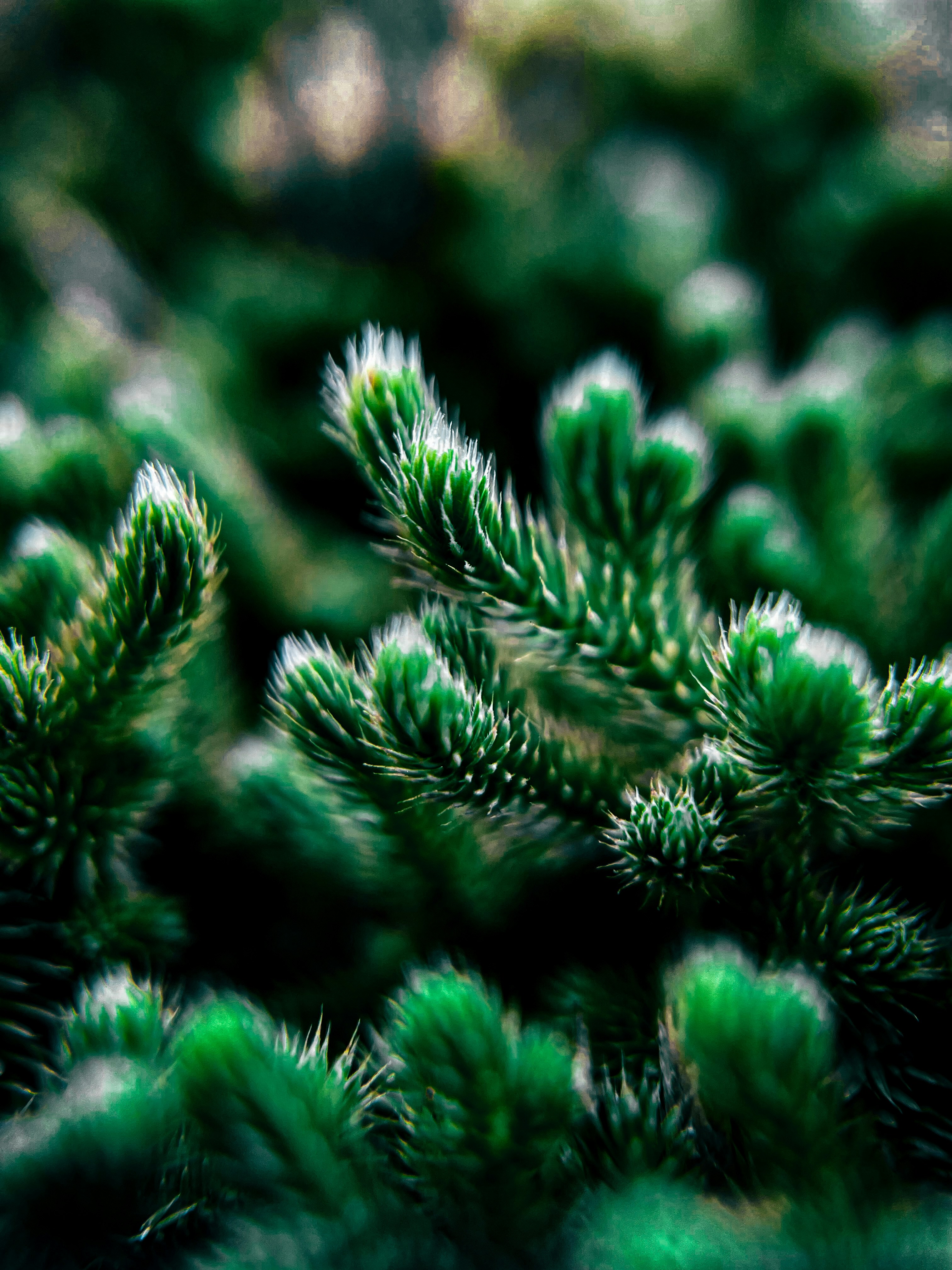 Photo by purushothamgk