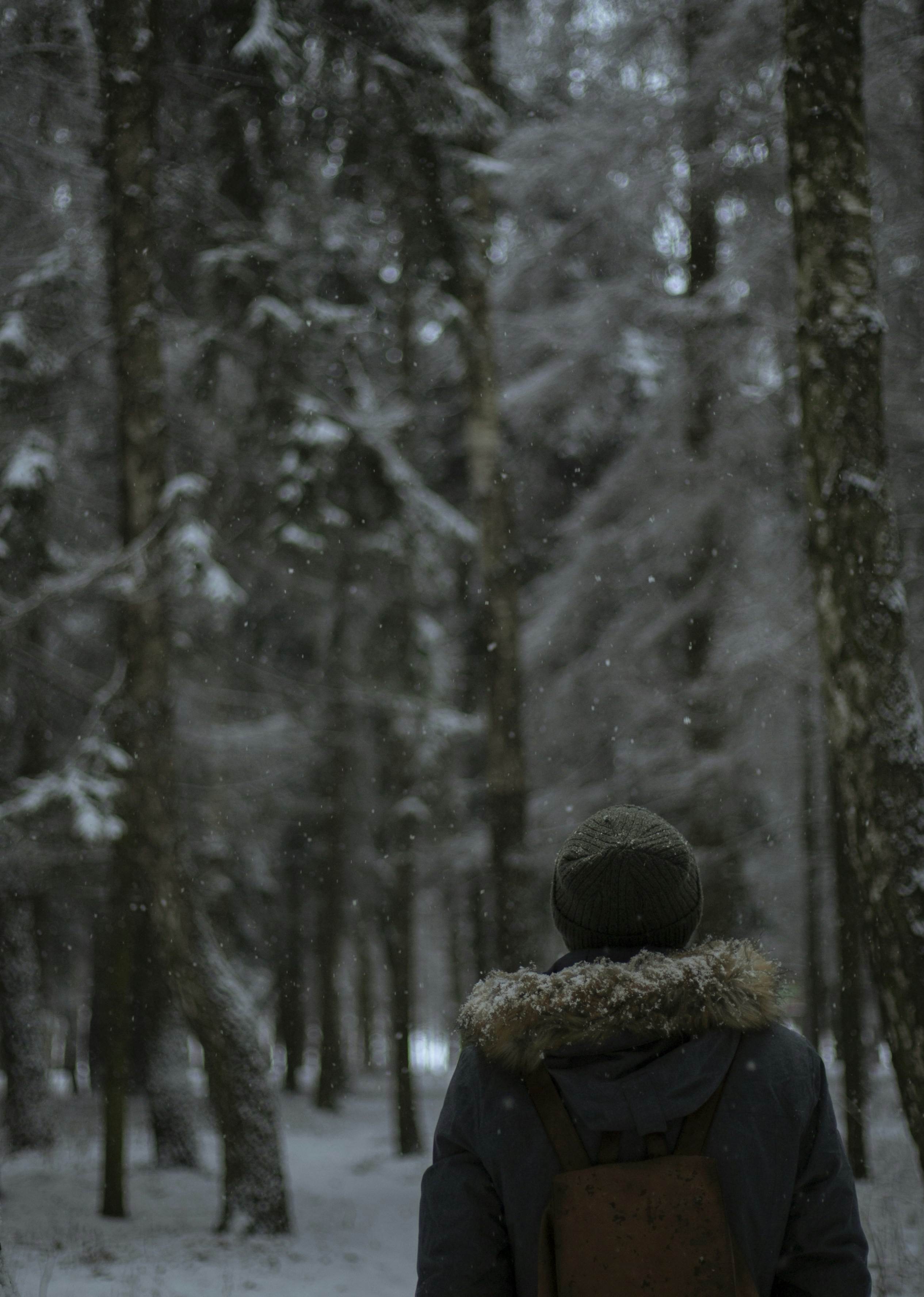 Photo by a_leskova