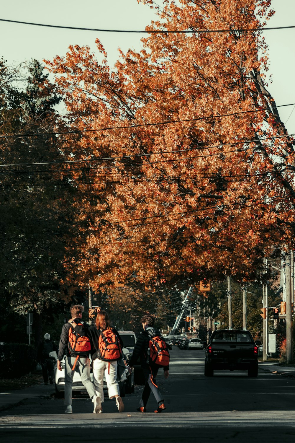 a group of people walking down a street next to a tree