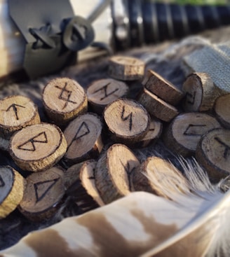 a bunch of wood pieces sitting on top of a pile of feathers