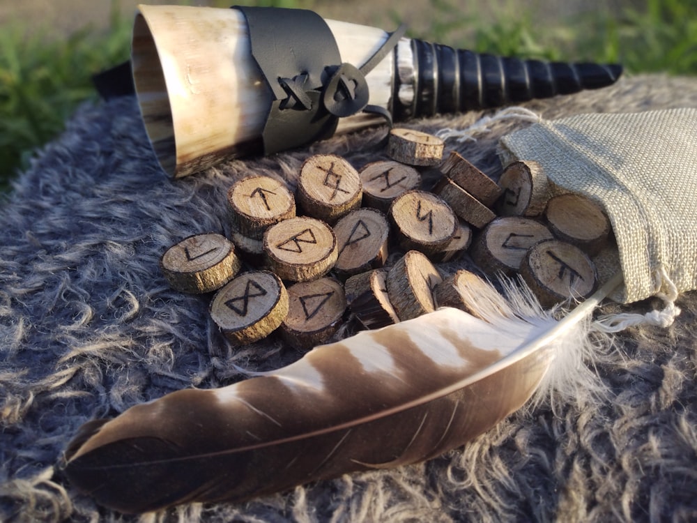 a close up of a feather and some wood