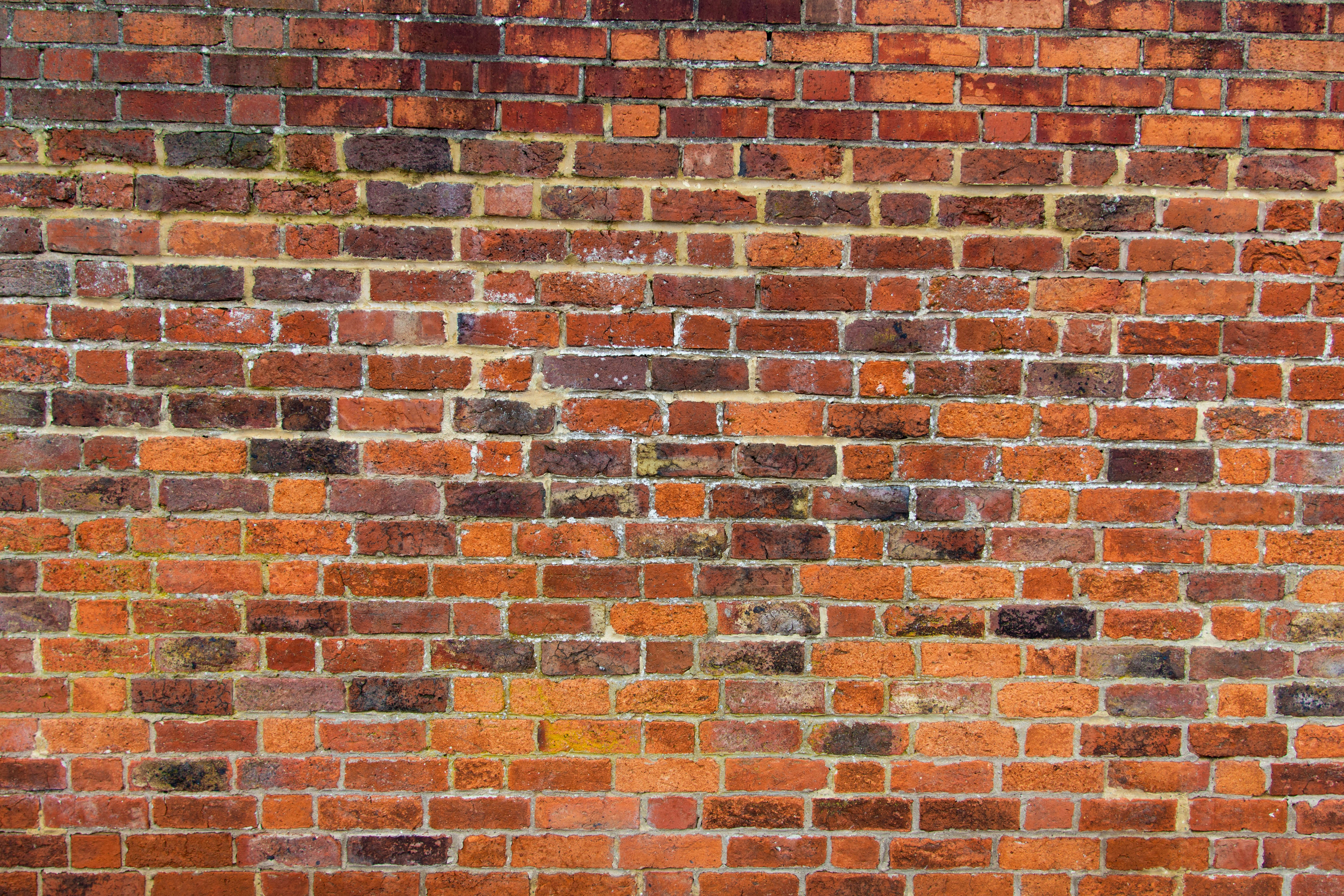 Photo by maplerockdesign