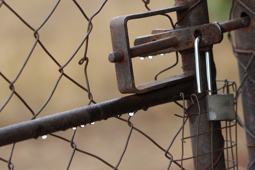 a close up of a chain link fence with a padlock