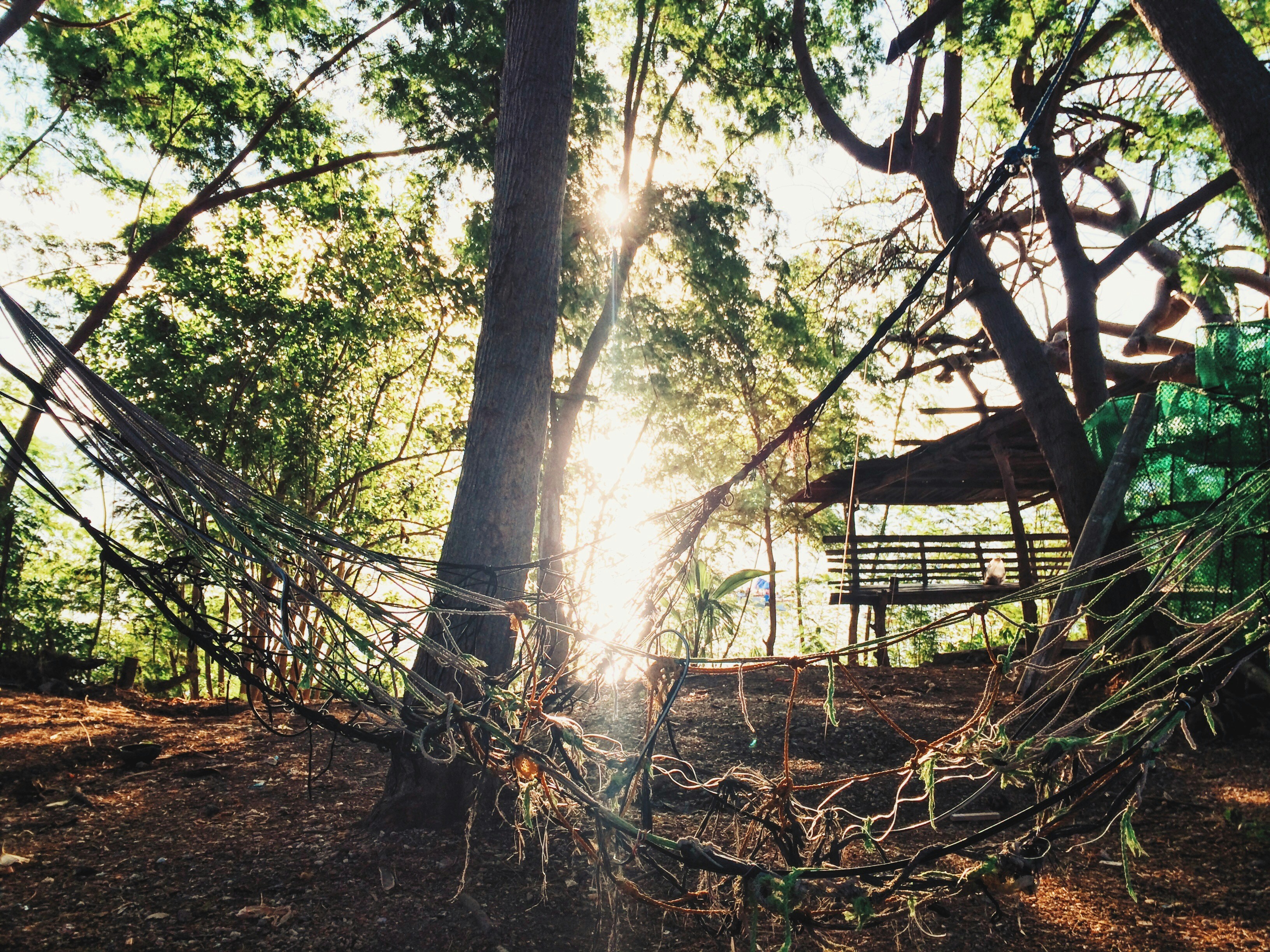 Photo by bryllequirante8