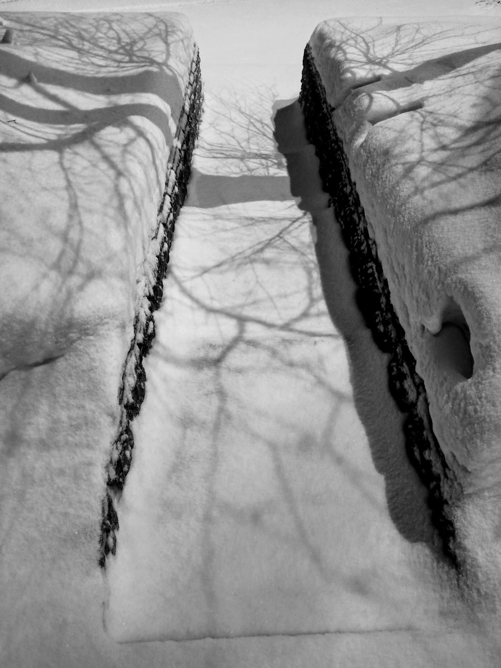 a black and white photo of a path in the snow