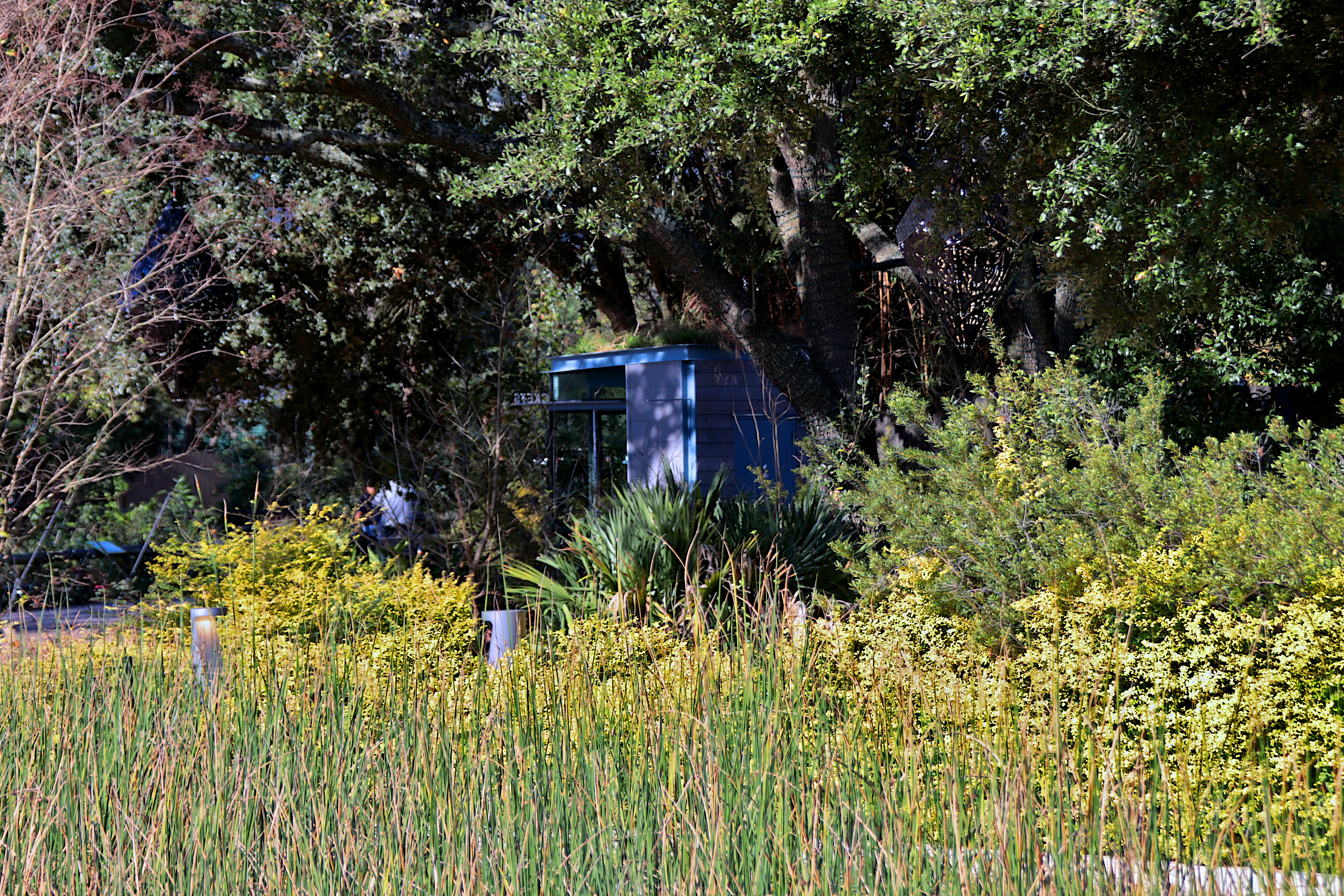 a blue truck parked in a field next to trees