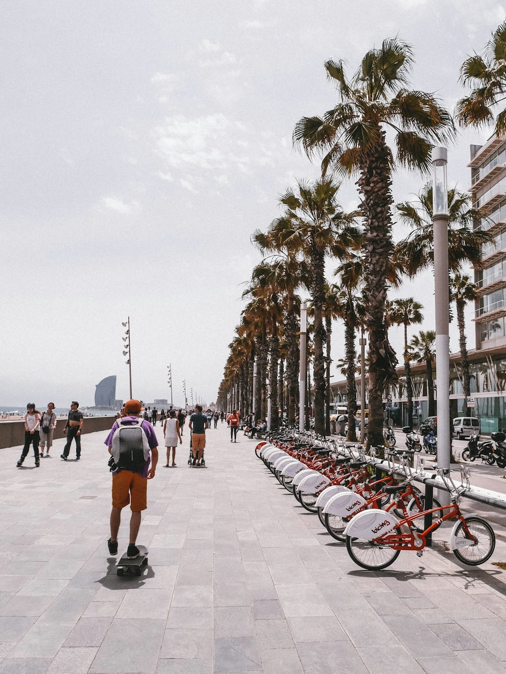 a man riding a skateboard down a sidewalk next to palm trees