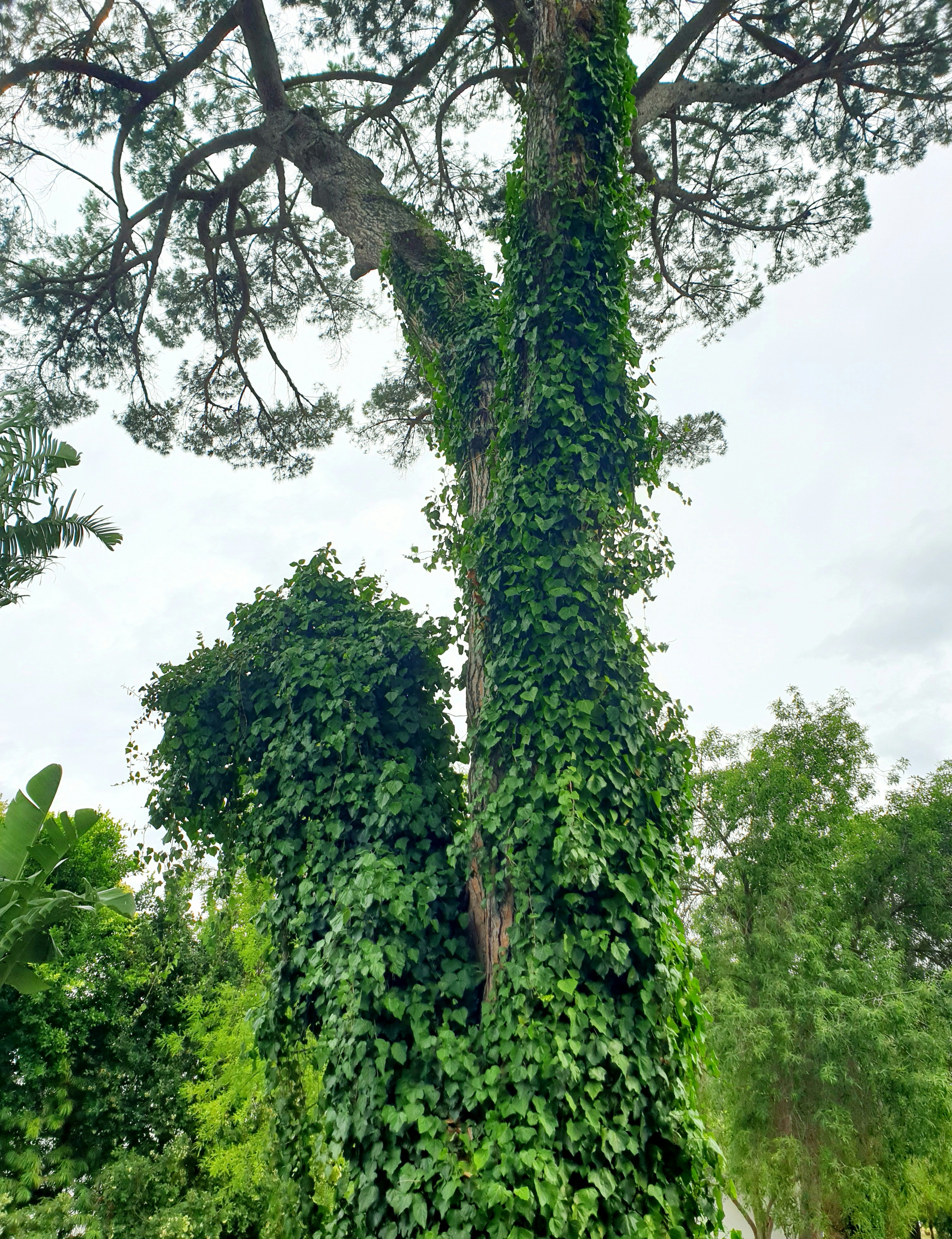 Photo by alphabetania