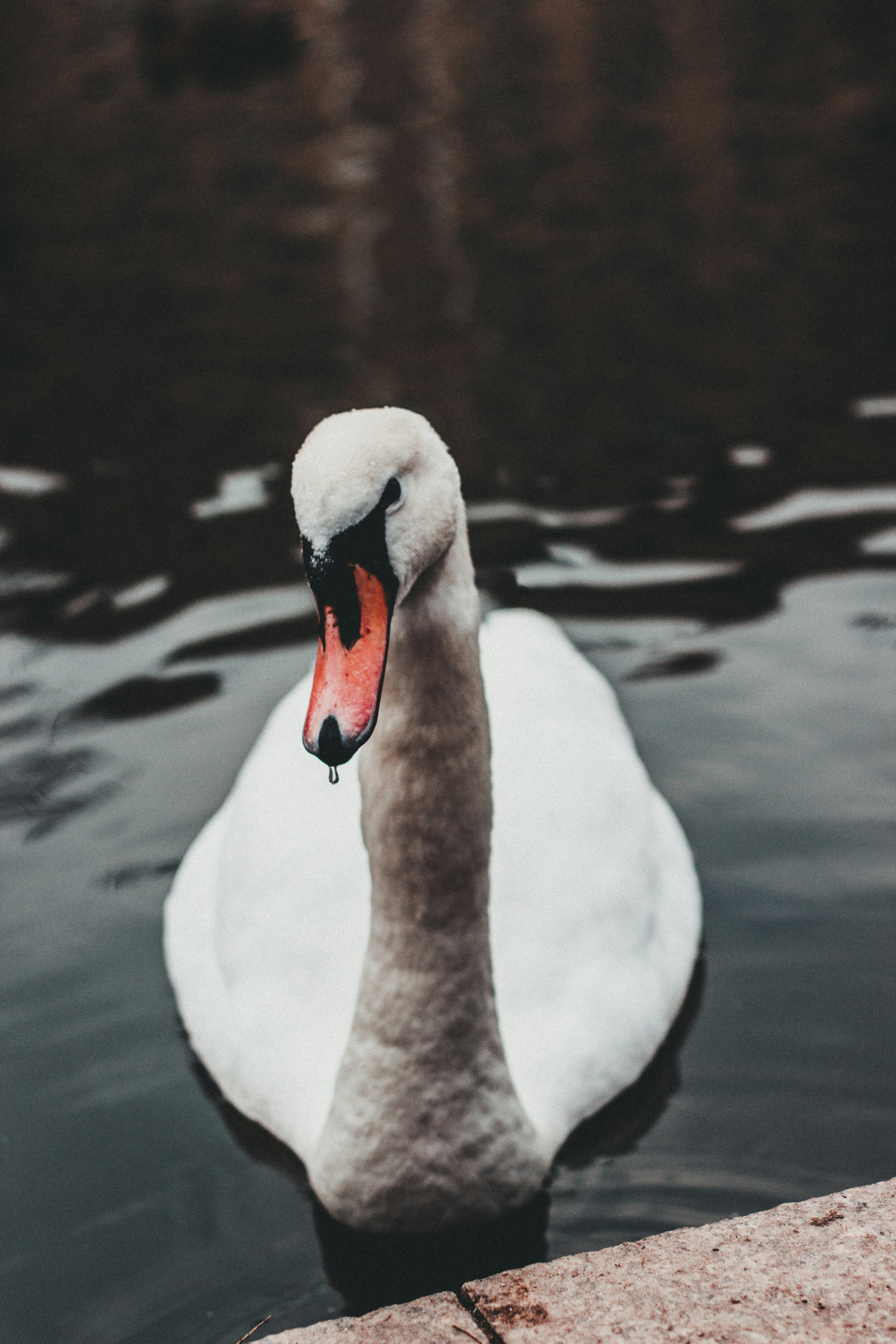 Photo by iamfrancismorgan