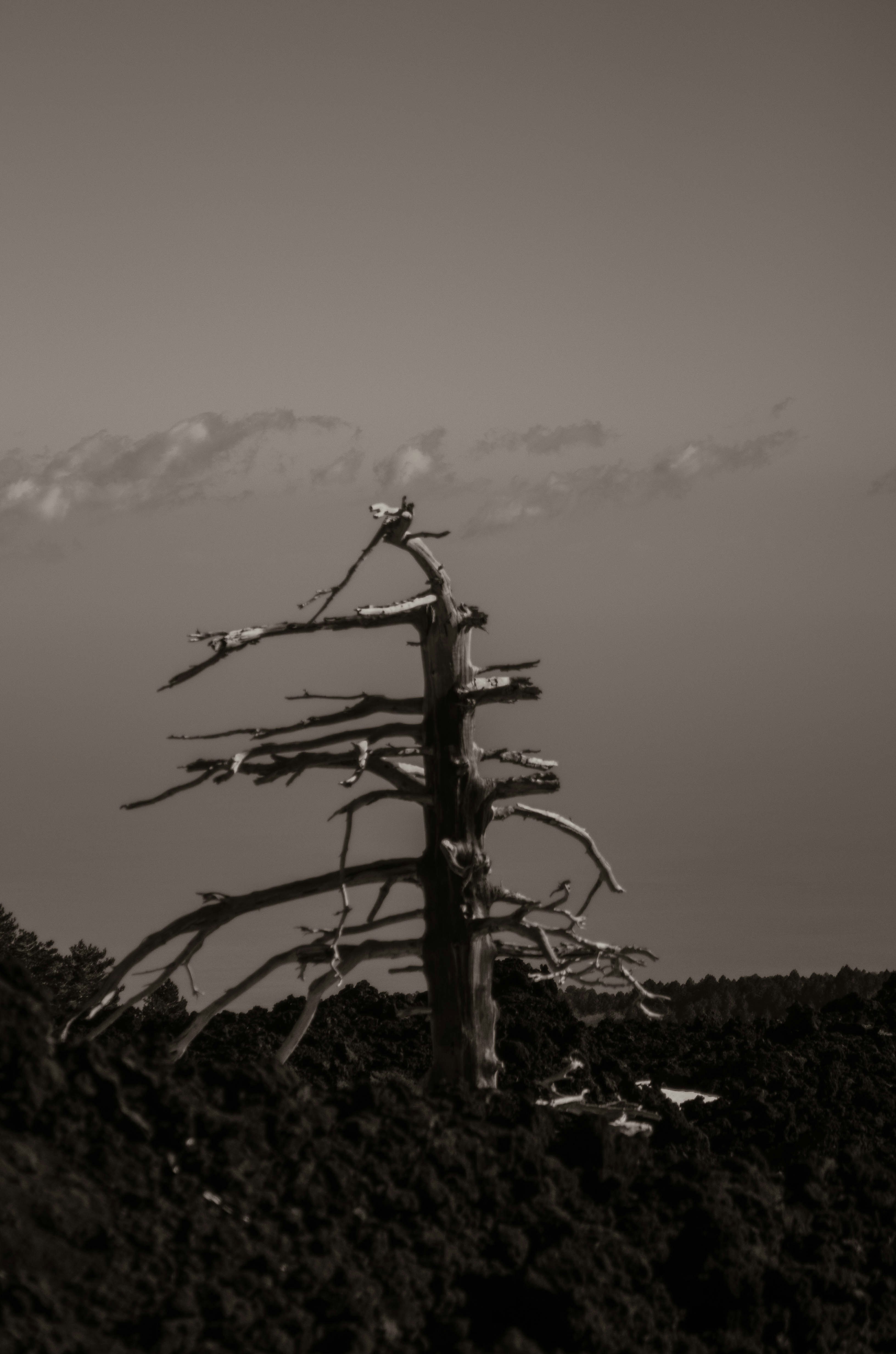 Photo by valetosk