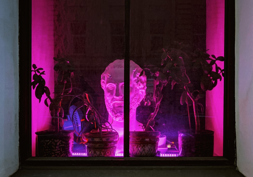 a window display with a pink light behind it
