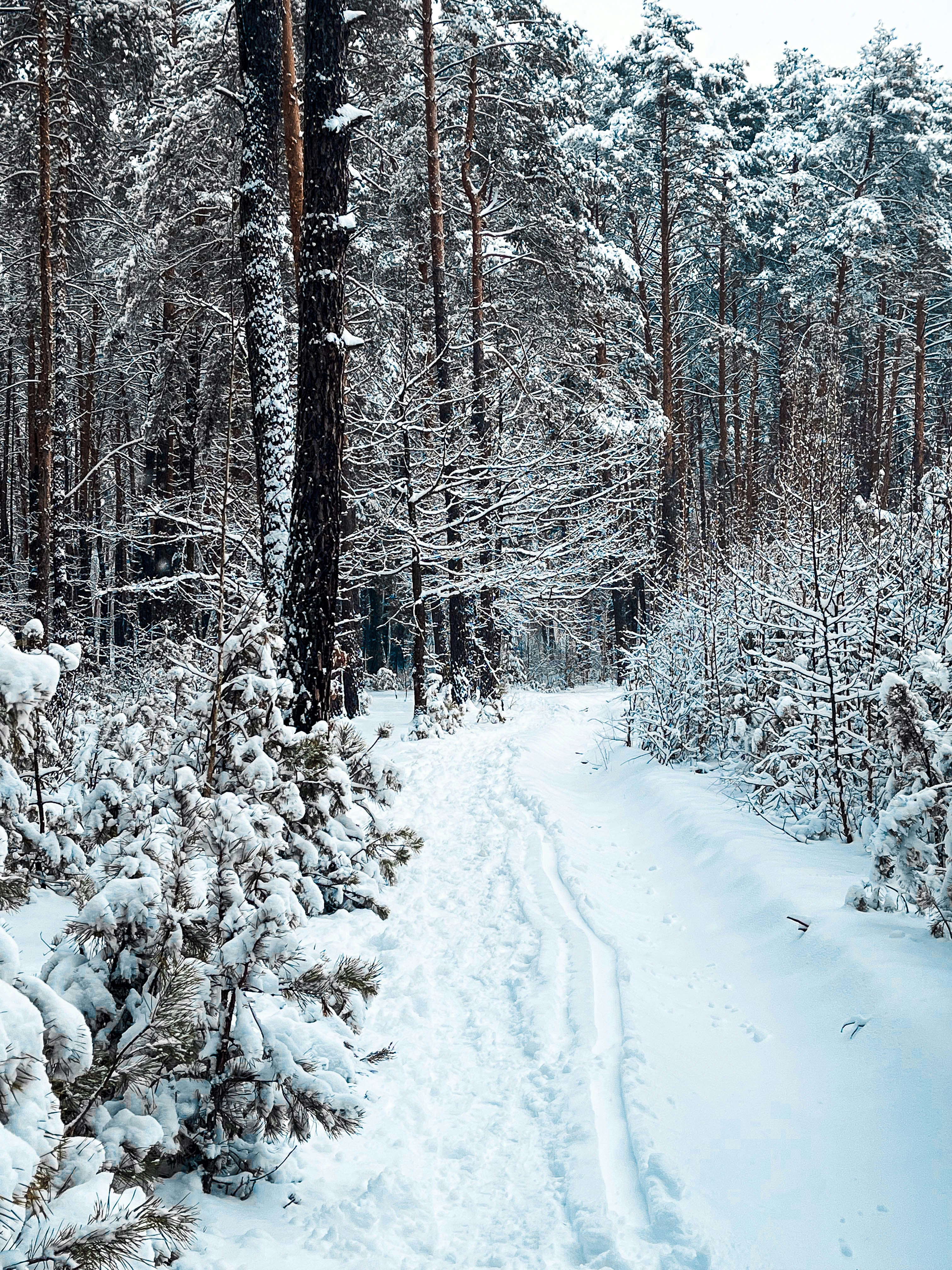 Photo by travelertraveler_