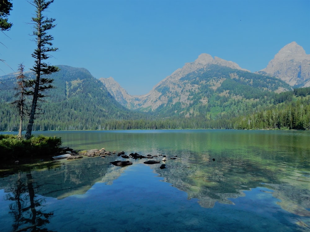 a body of water surrounded by mountains and trees