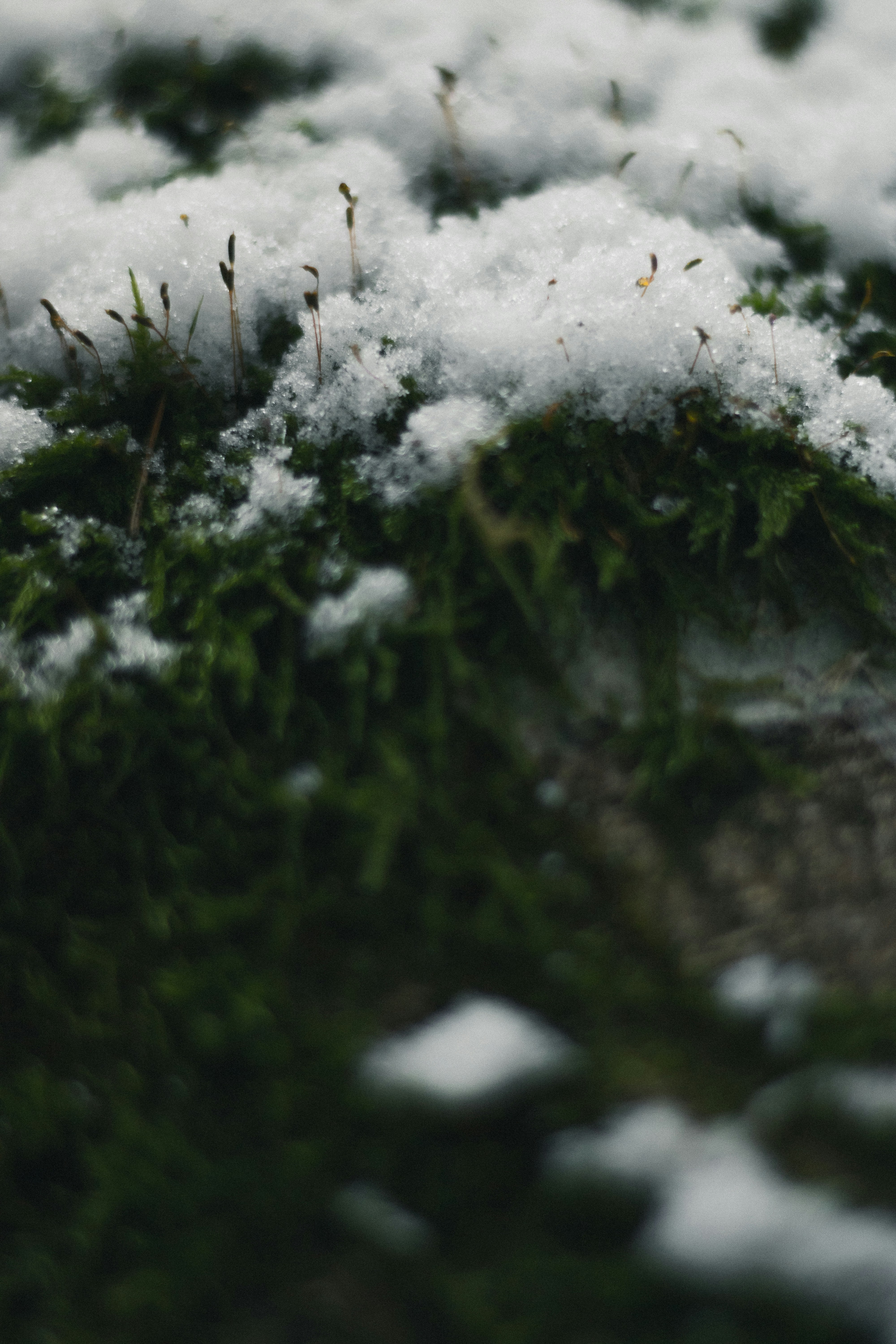 Photo by earthfulmoments