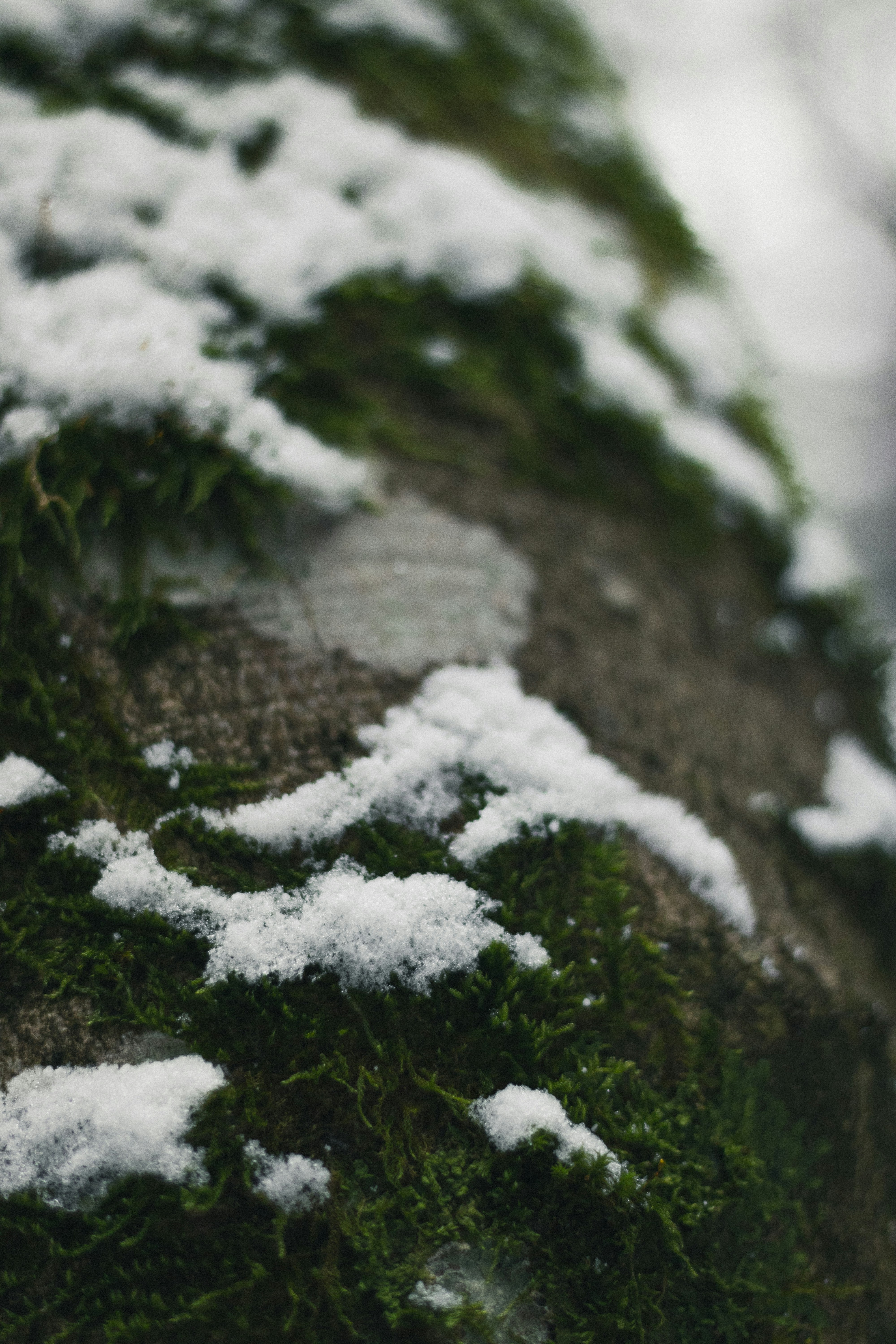 Photo by earthfulmoments