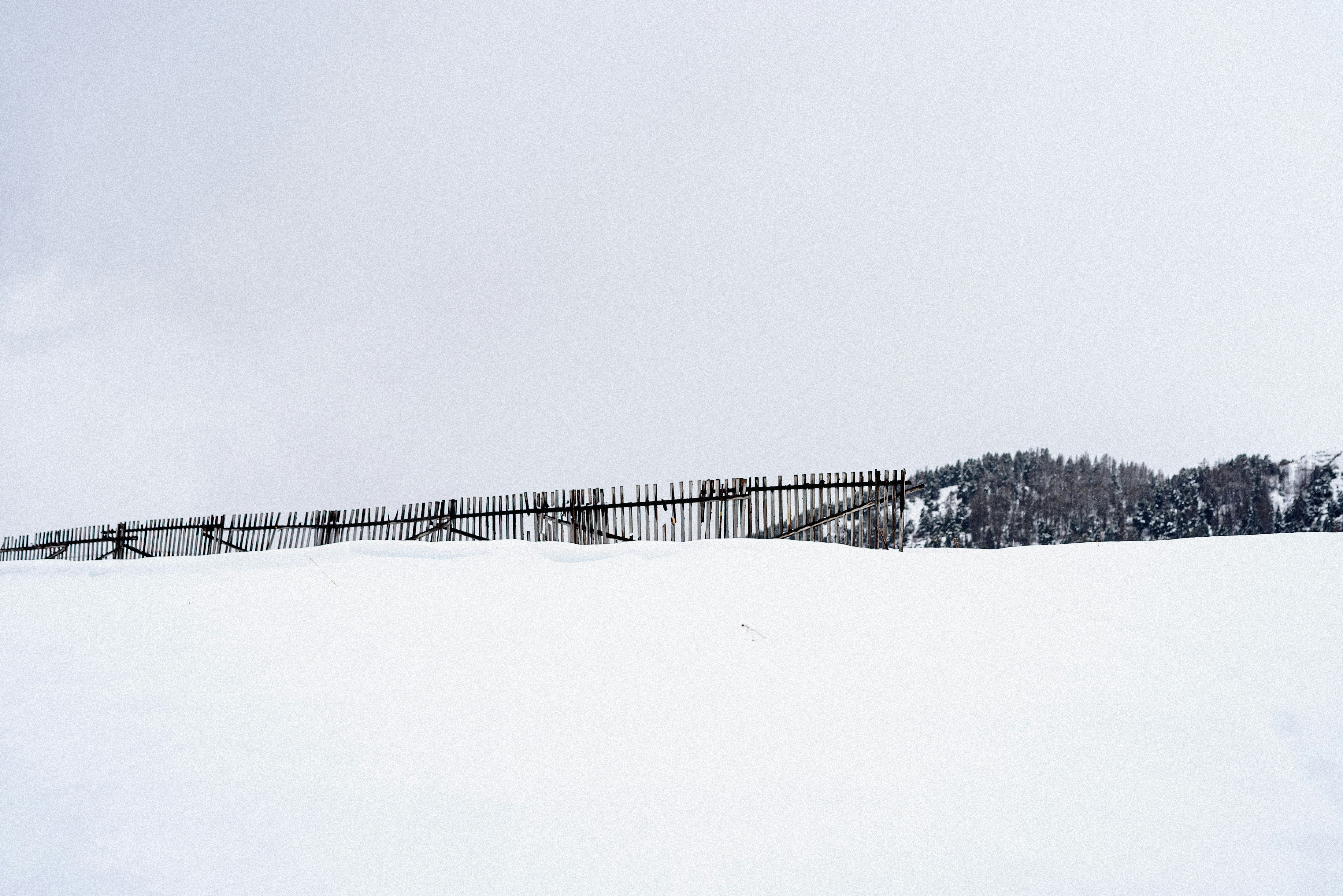 Photo by lauraadaiphoto