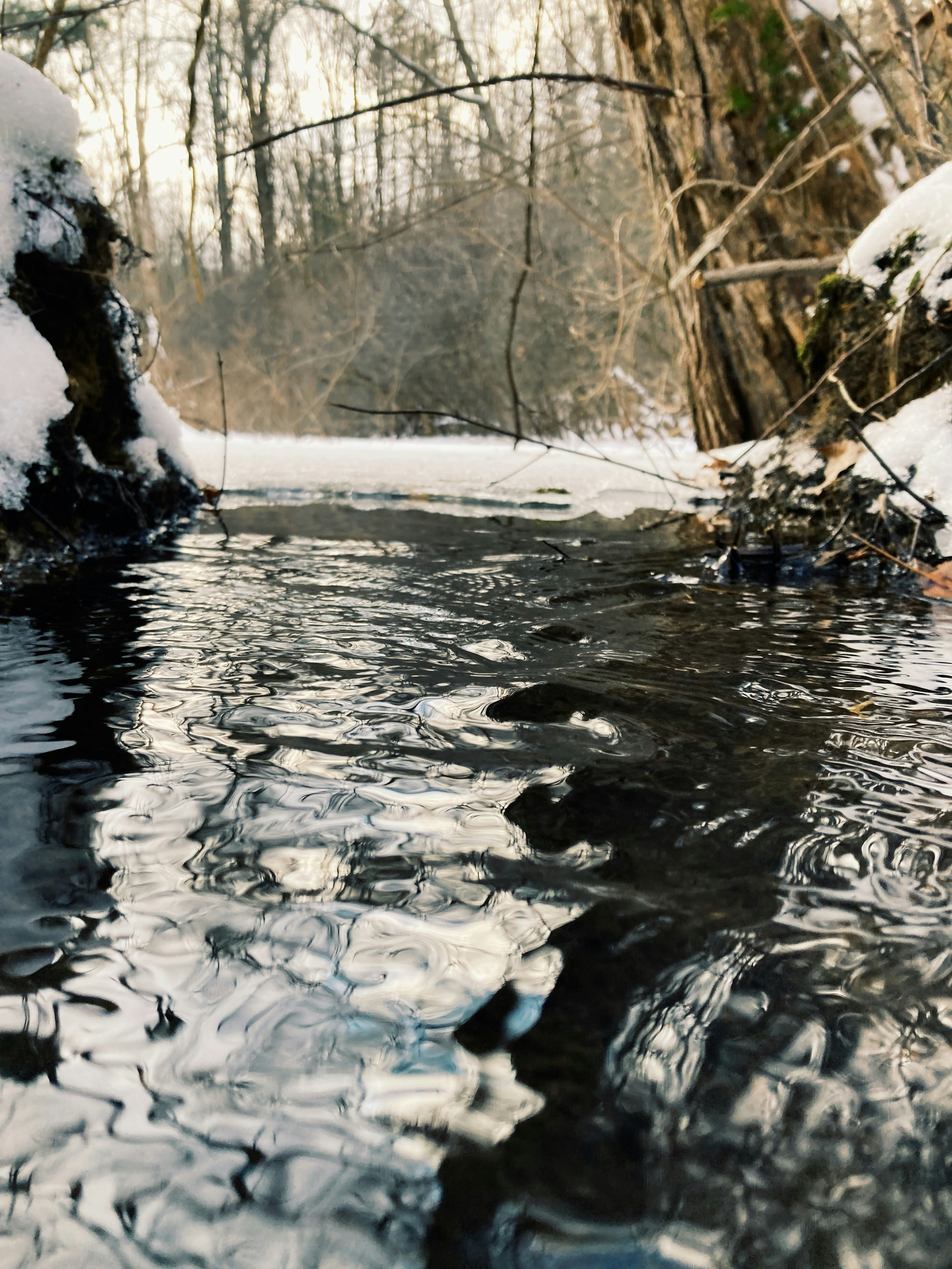 a stream running through a snow covered forest