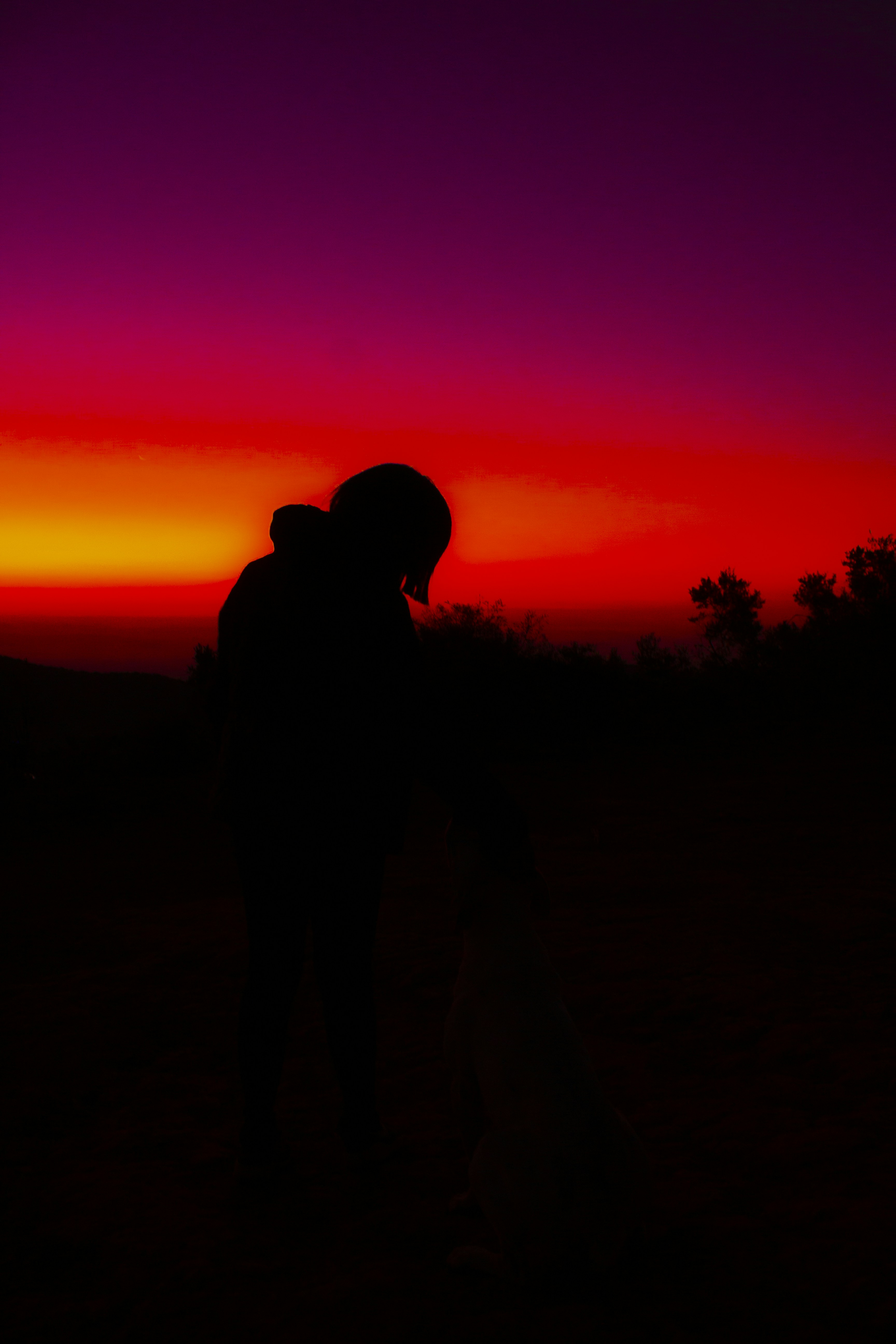 Photo by thalittlemarc