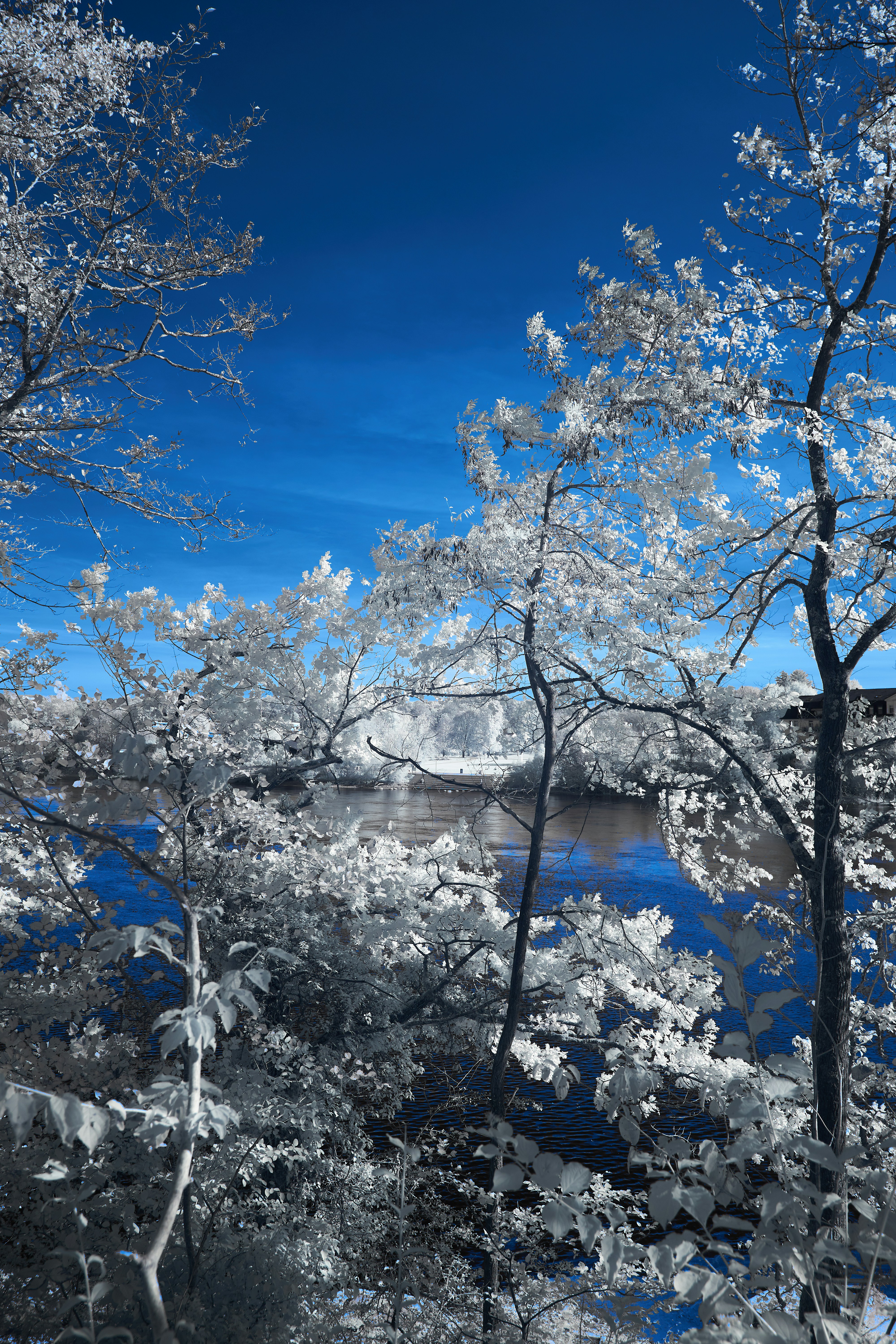 Photo by wolfgang_hasselmann