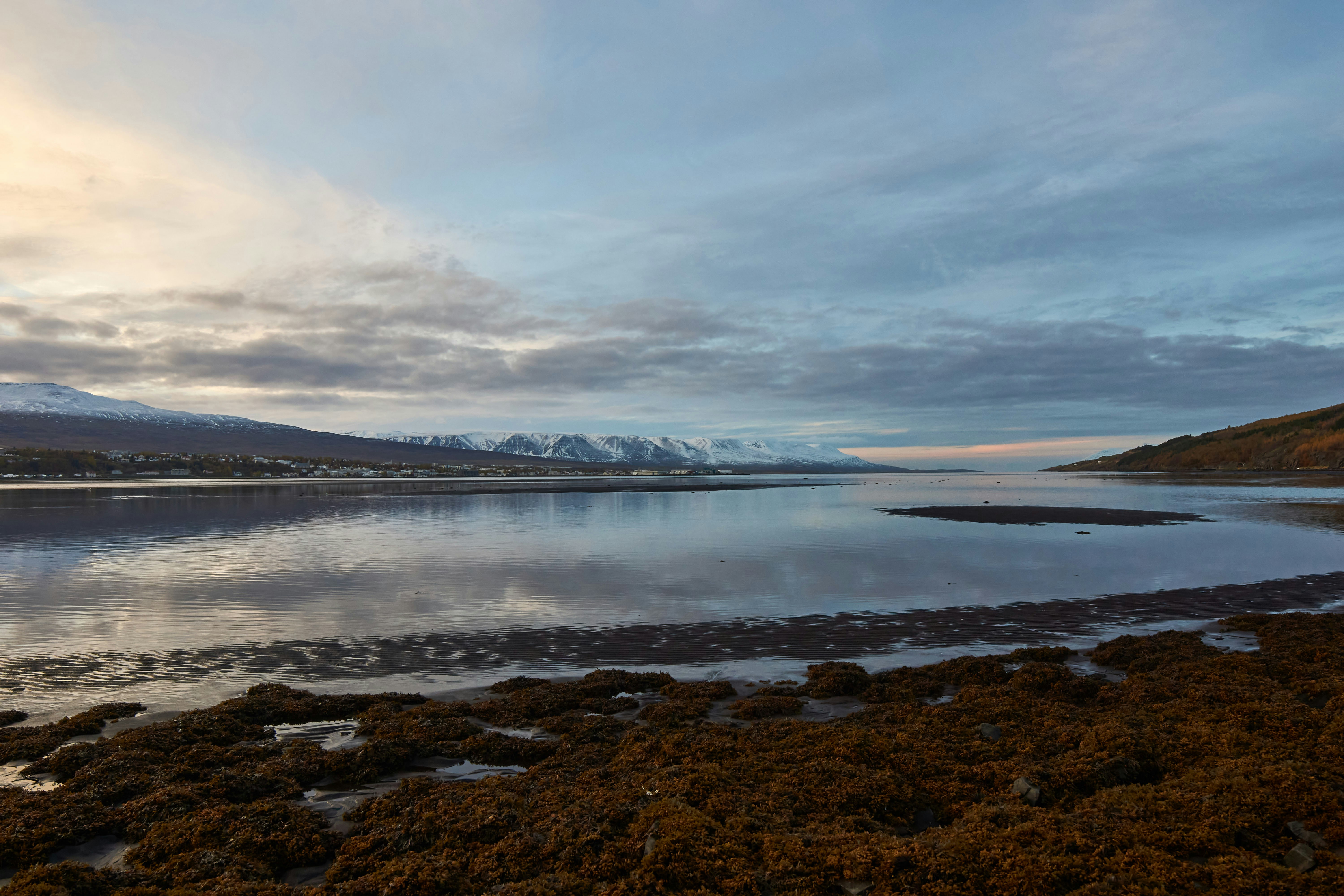 Photo by wolfgang_hasselmann