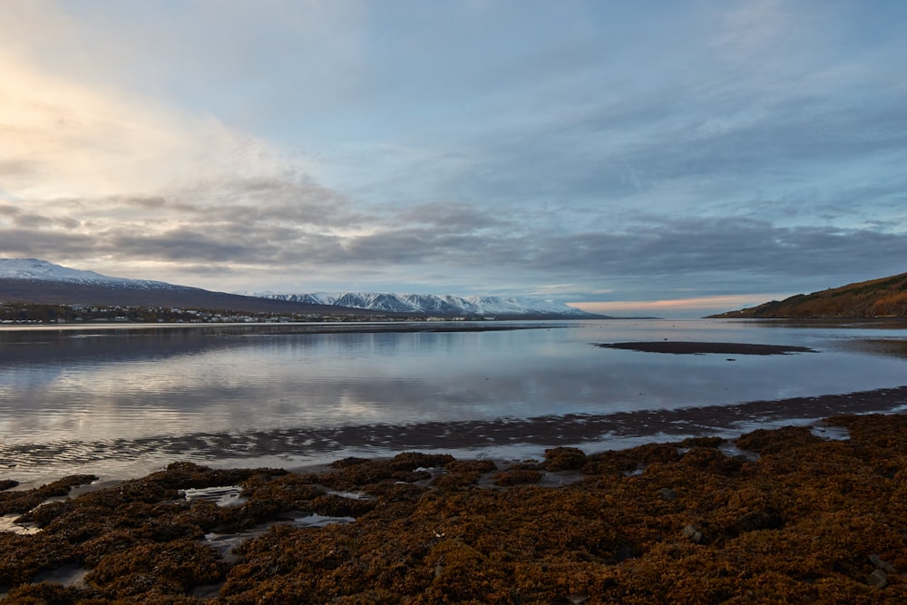 a body of water surrounded by land and mountains