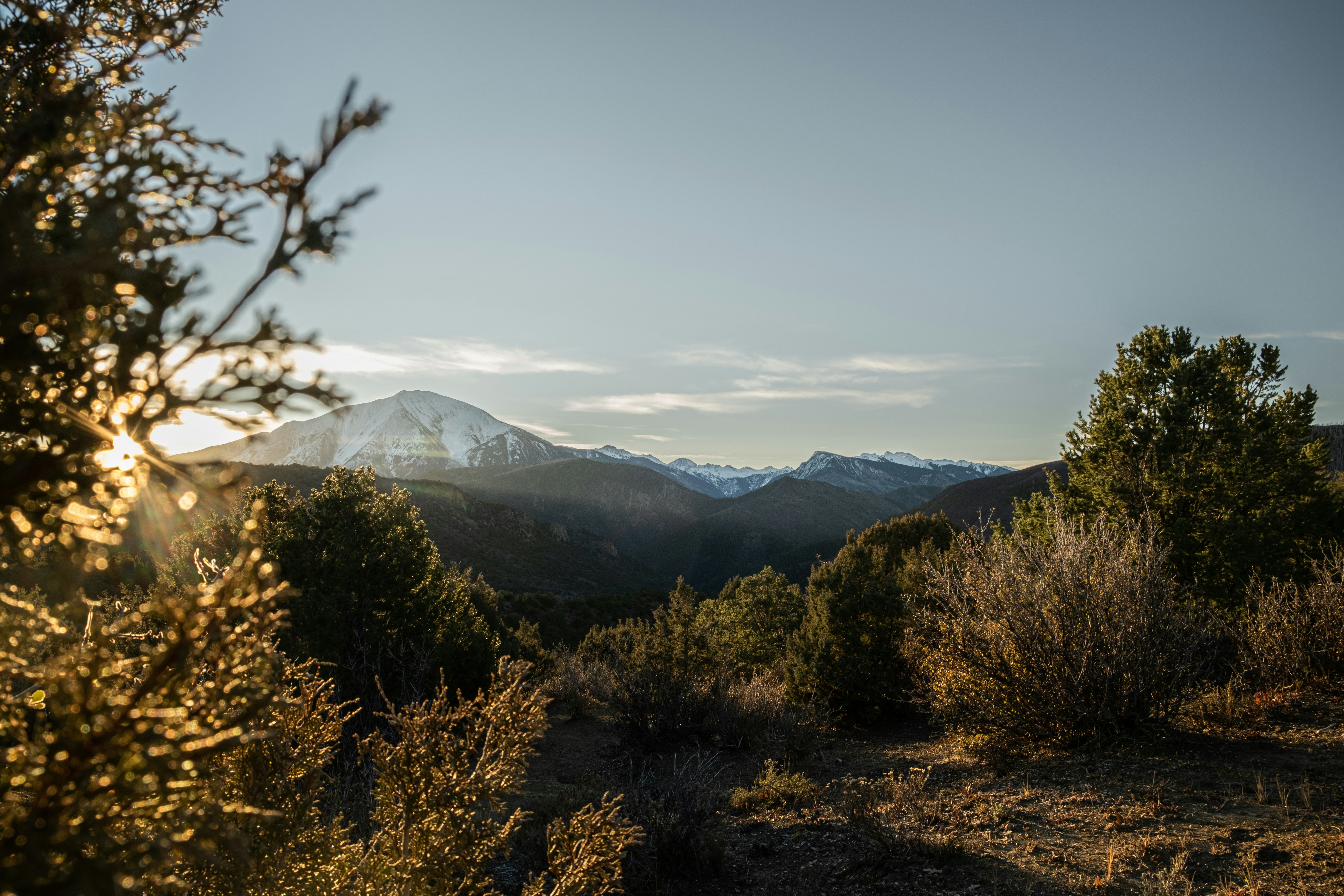 Photo by samsheppardphoto