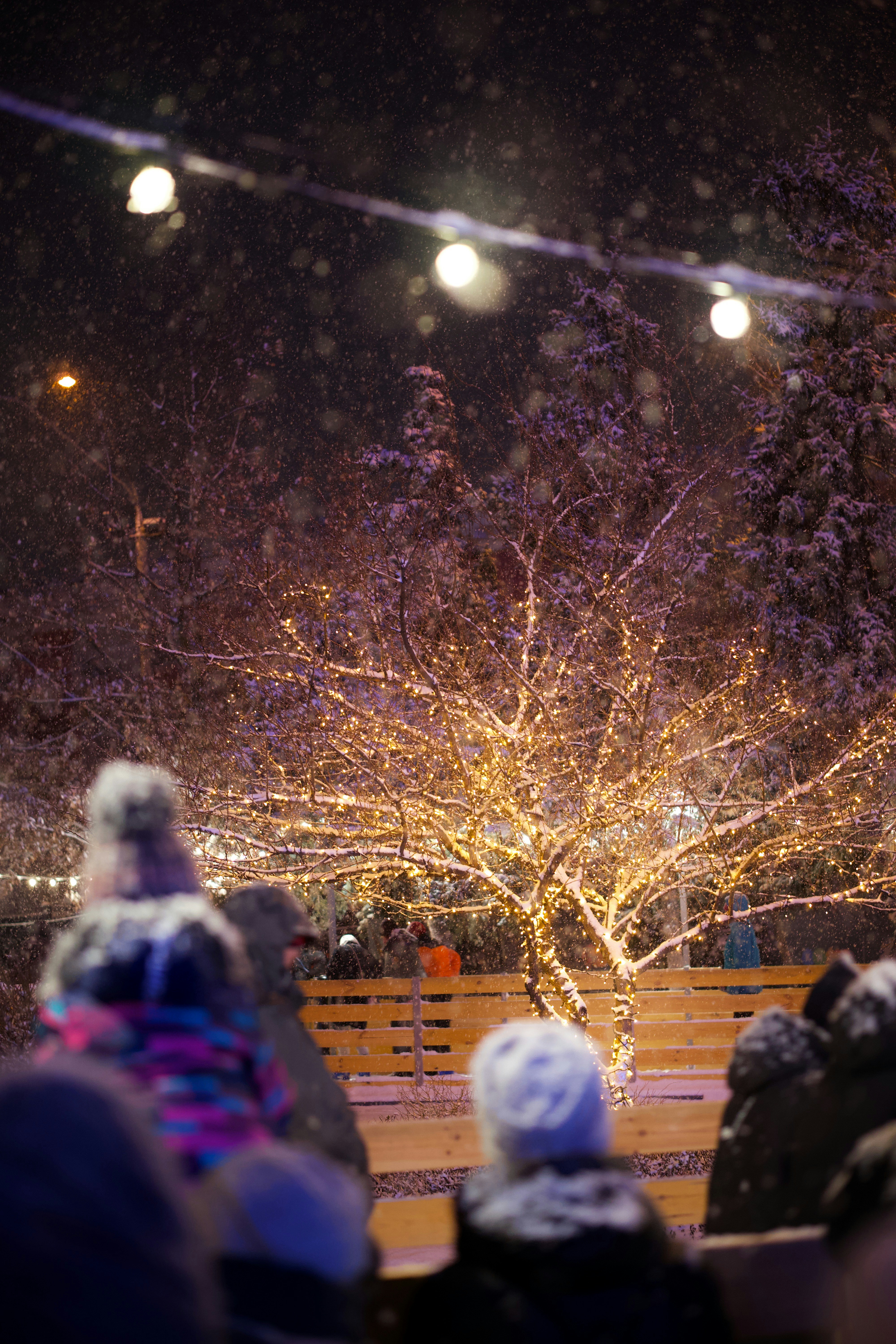 Photo by romanbodnarchuk